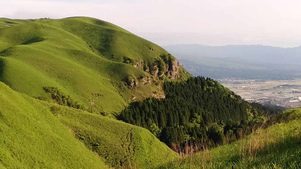 landscape during daytime