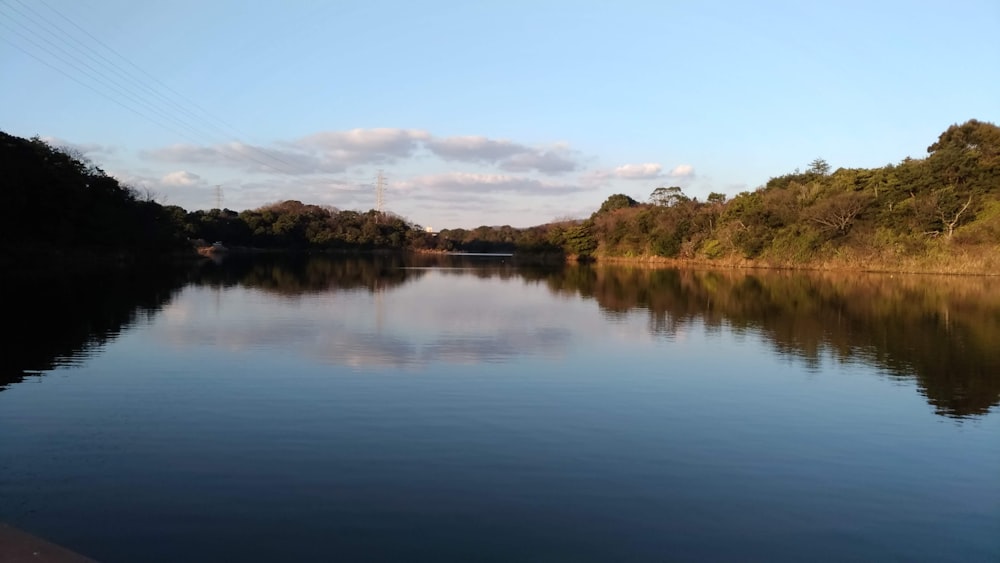 lake surrounded with tall and green trees under blue and white skies