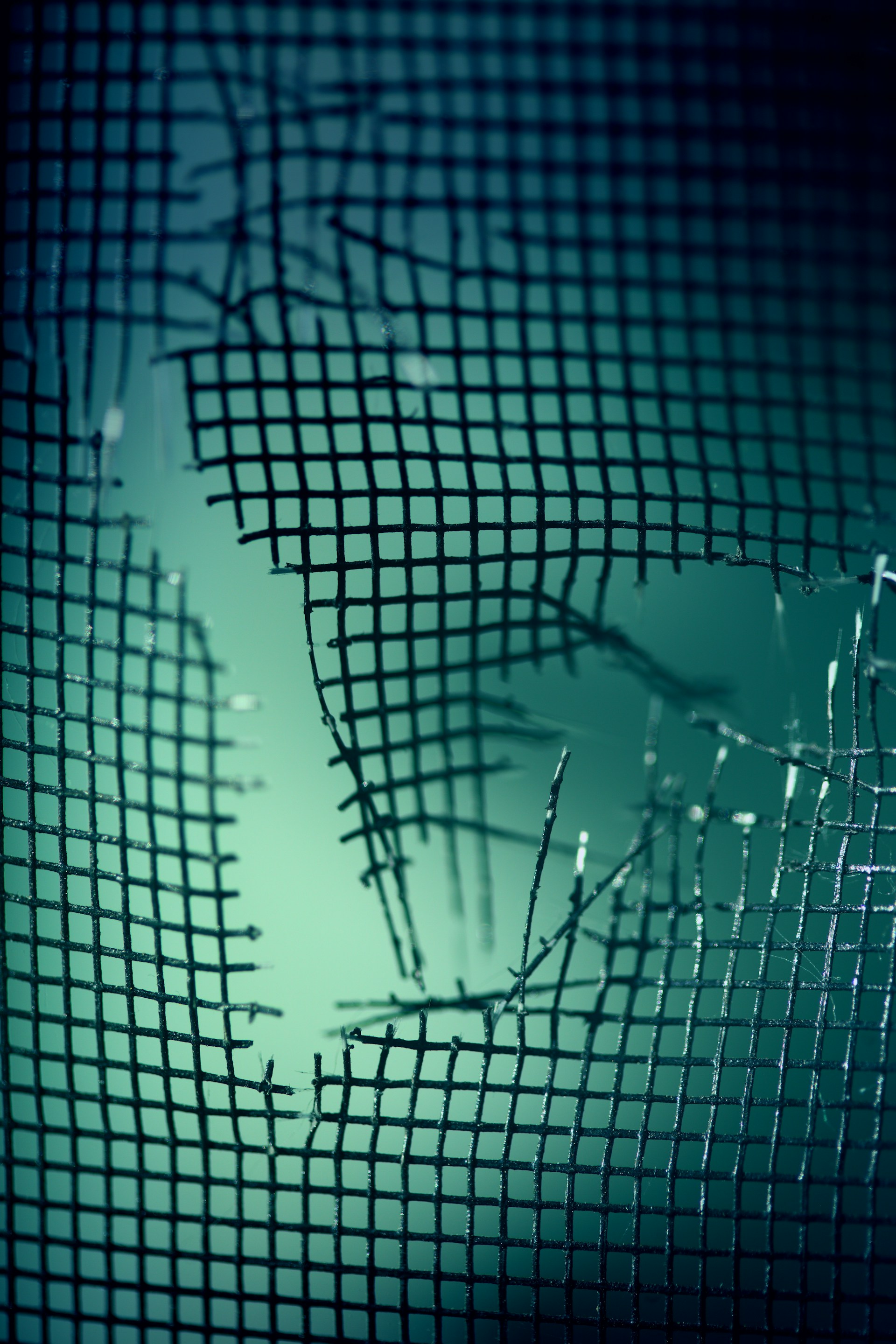broken mesh fence