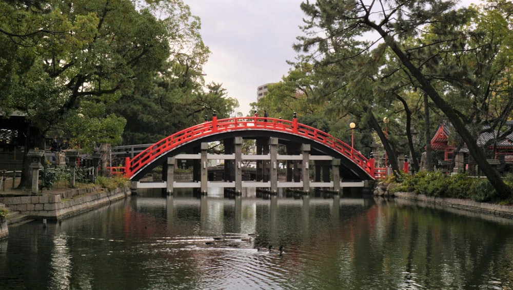 木々に囲まれた赤いコンクリート橋