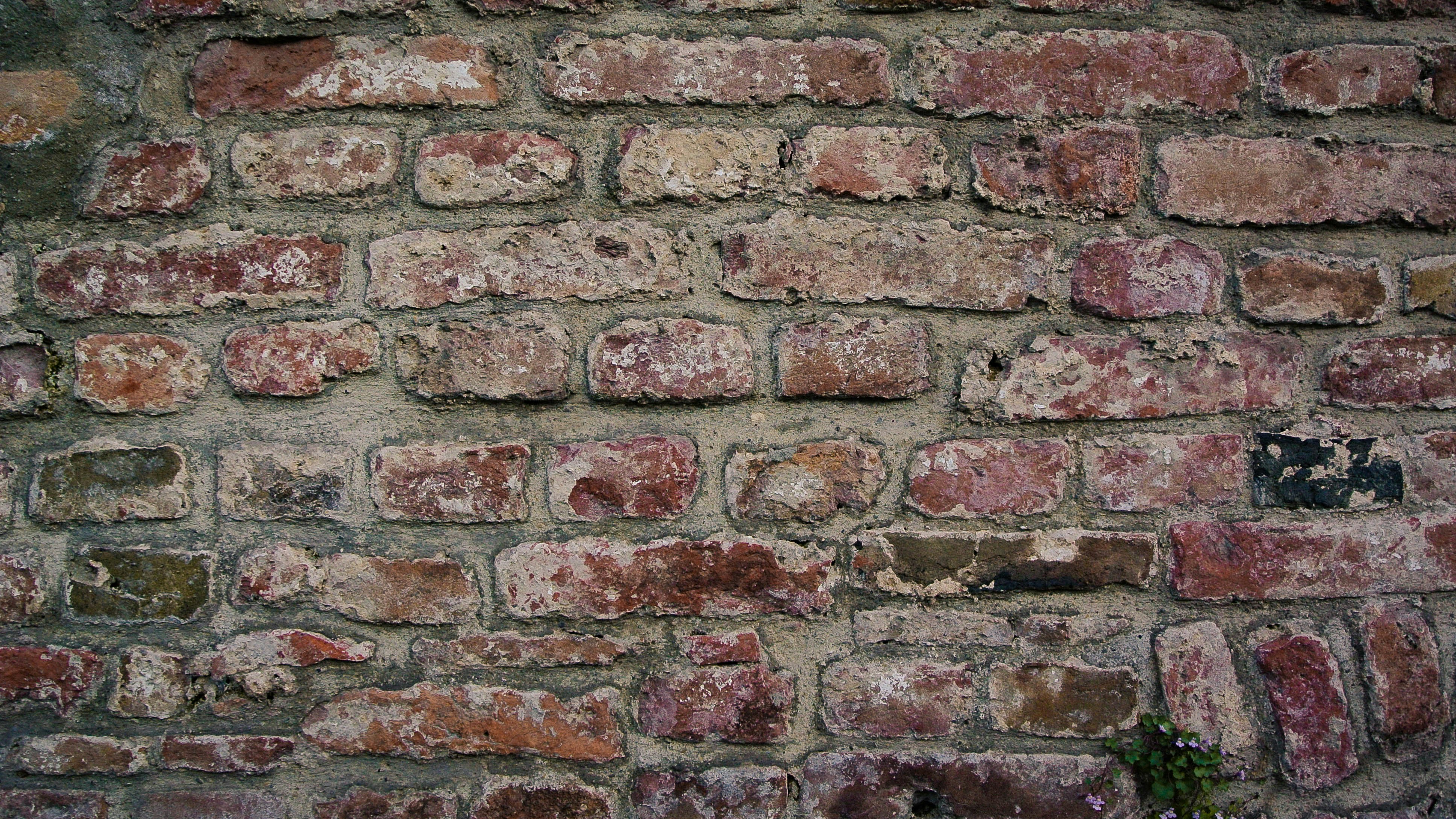 Photo by ristivojevic