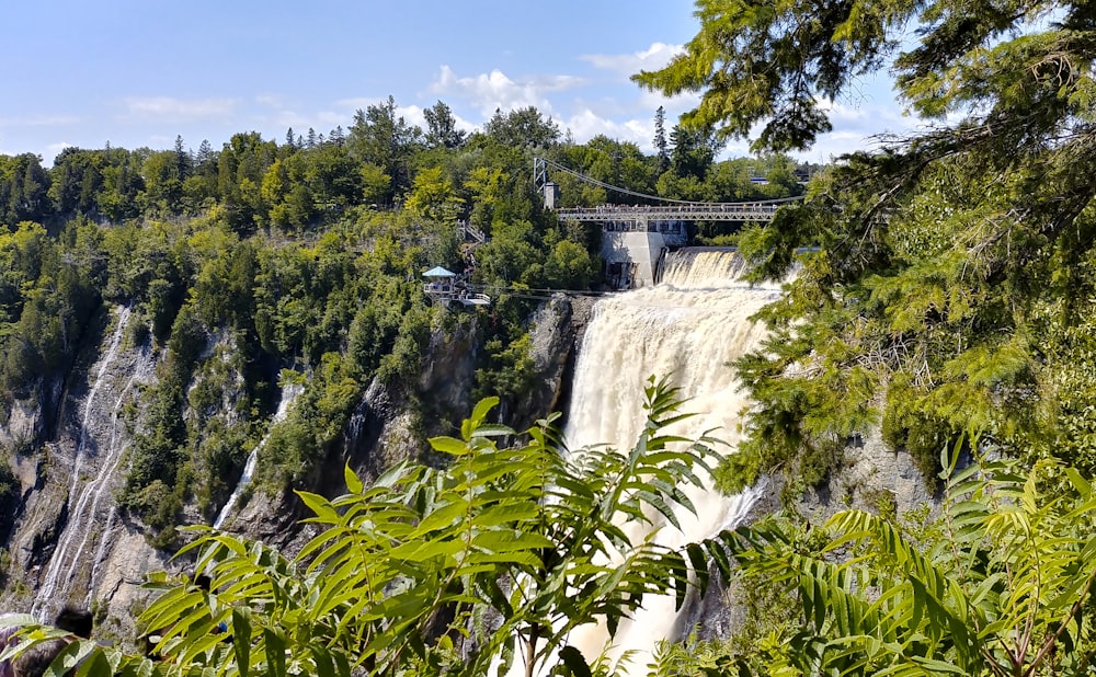 waterfall surrounded by green leafed trees