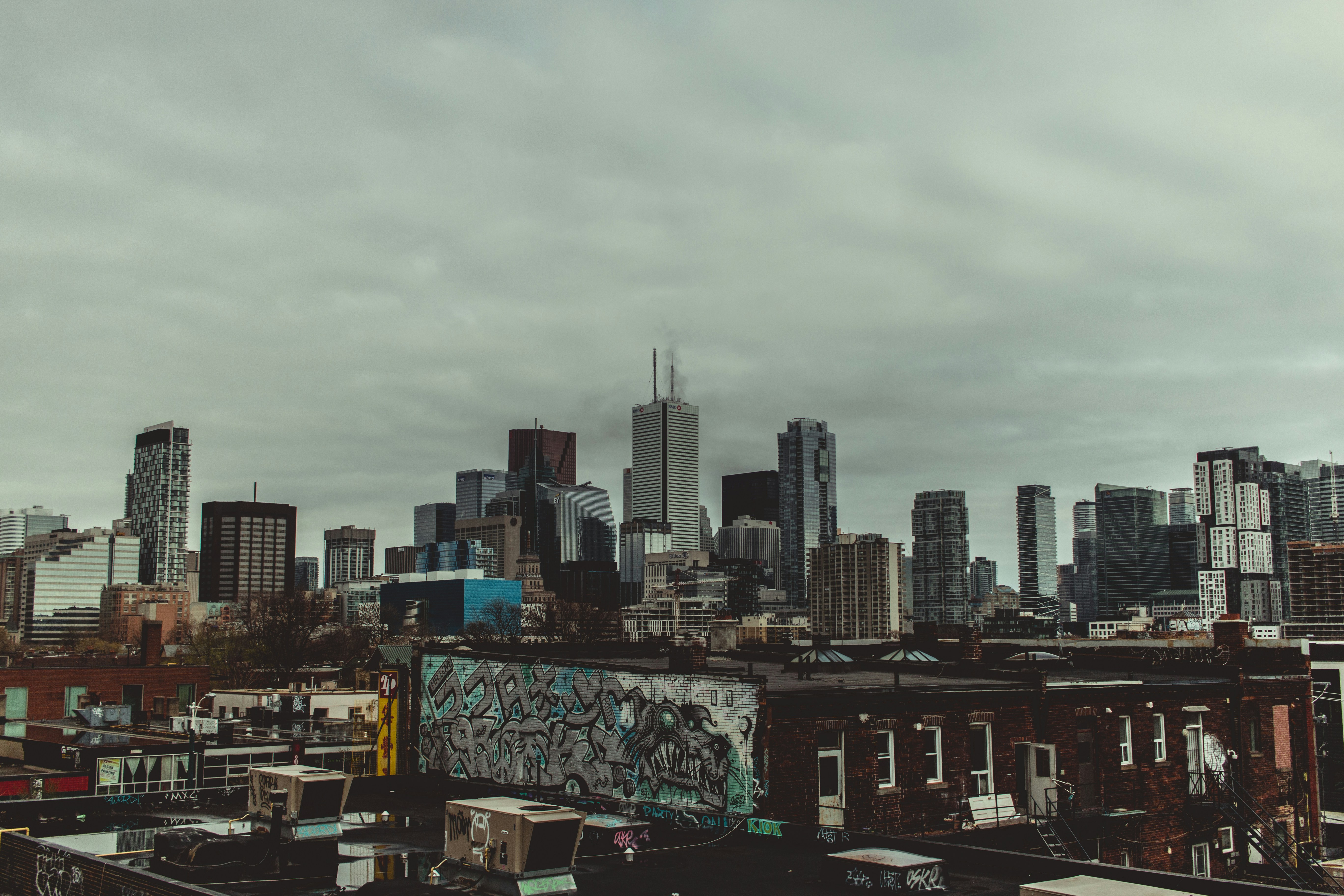 Photo by son_of_media