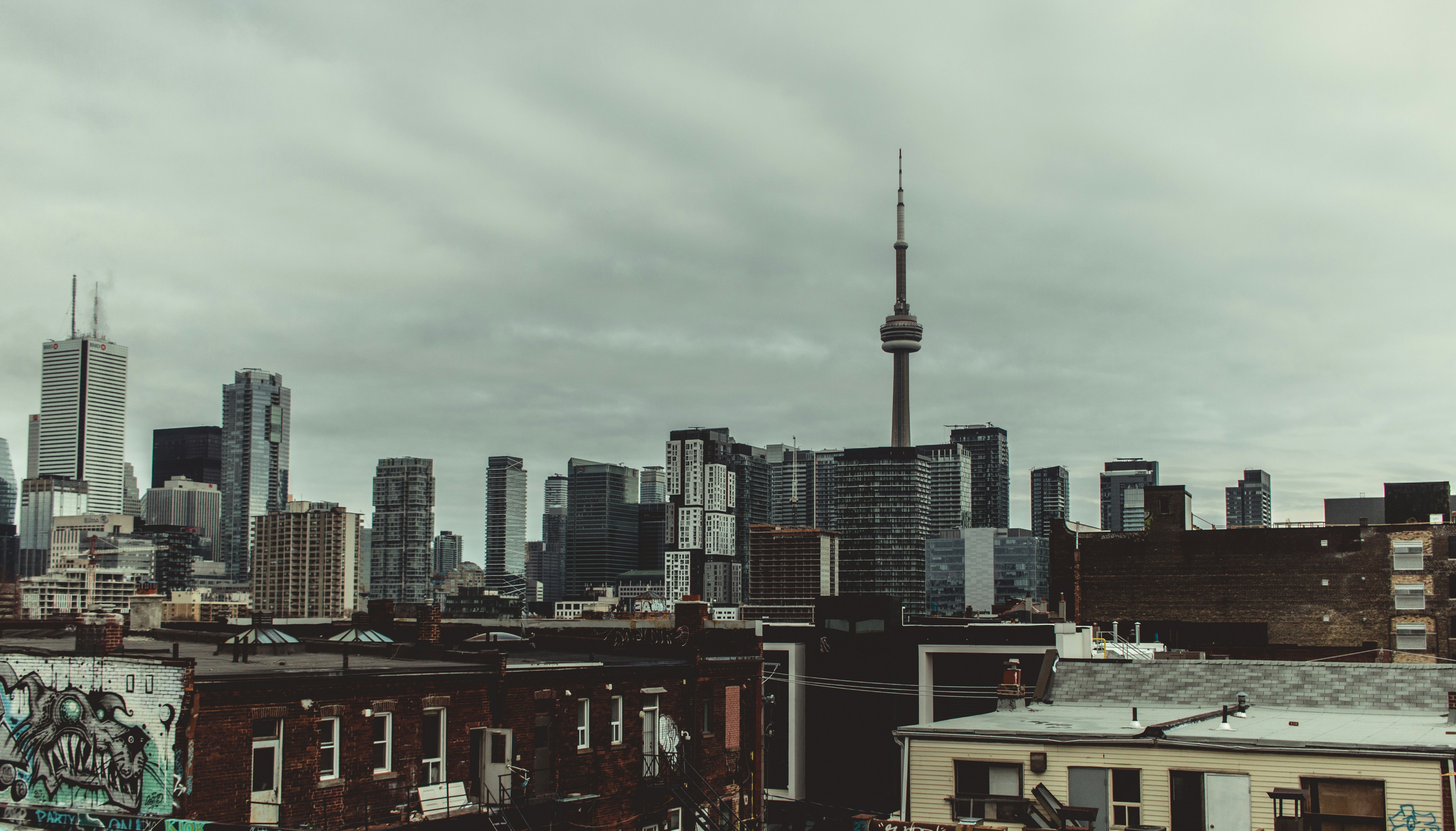 Photo by son_of_media