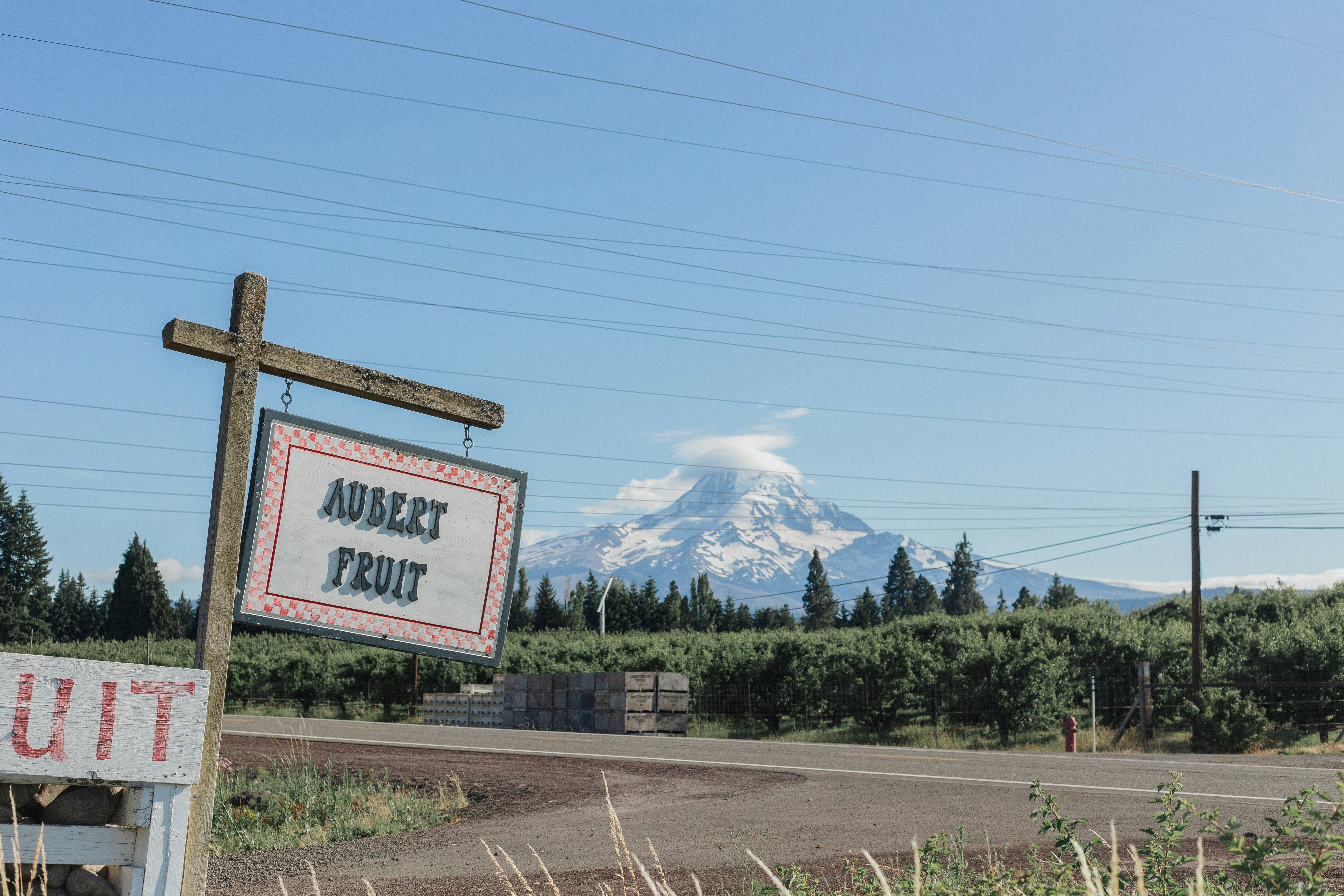 Preparing for the Peaks: Essential Gear and Tips for Mountain Treks post image