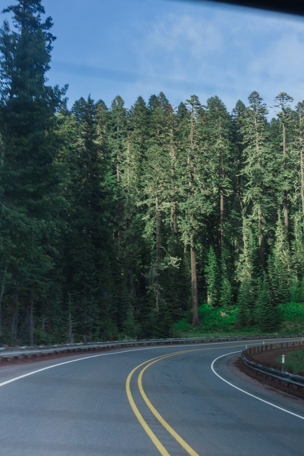 empty asphalt road surrounded by trees