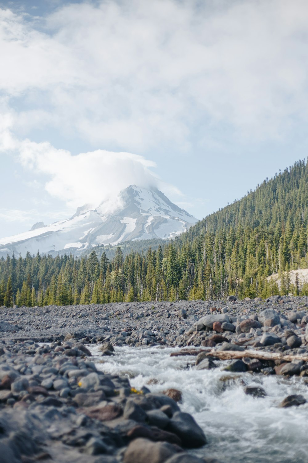 river between rocks facing trees and mountain under white sky