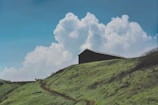 A lush green hillside with a dirt path leading up to a solitary, dark barn-like structure. Fluffy white clouds fill the bright blue sky, adding contrast to the verdant landscape.