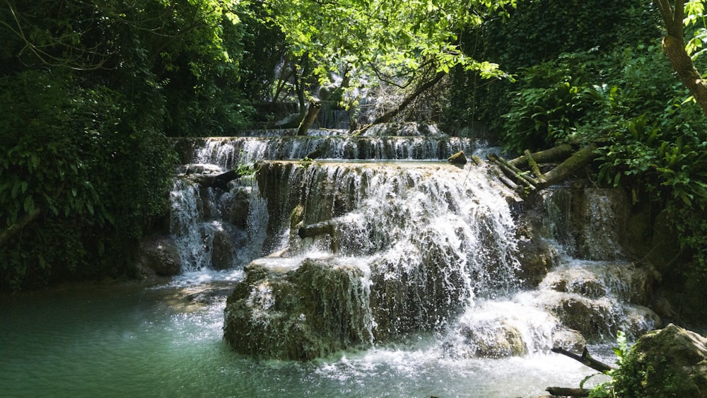 waterfall surrounded with trees