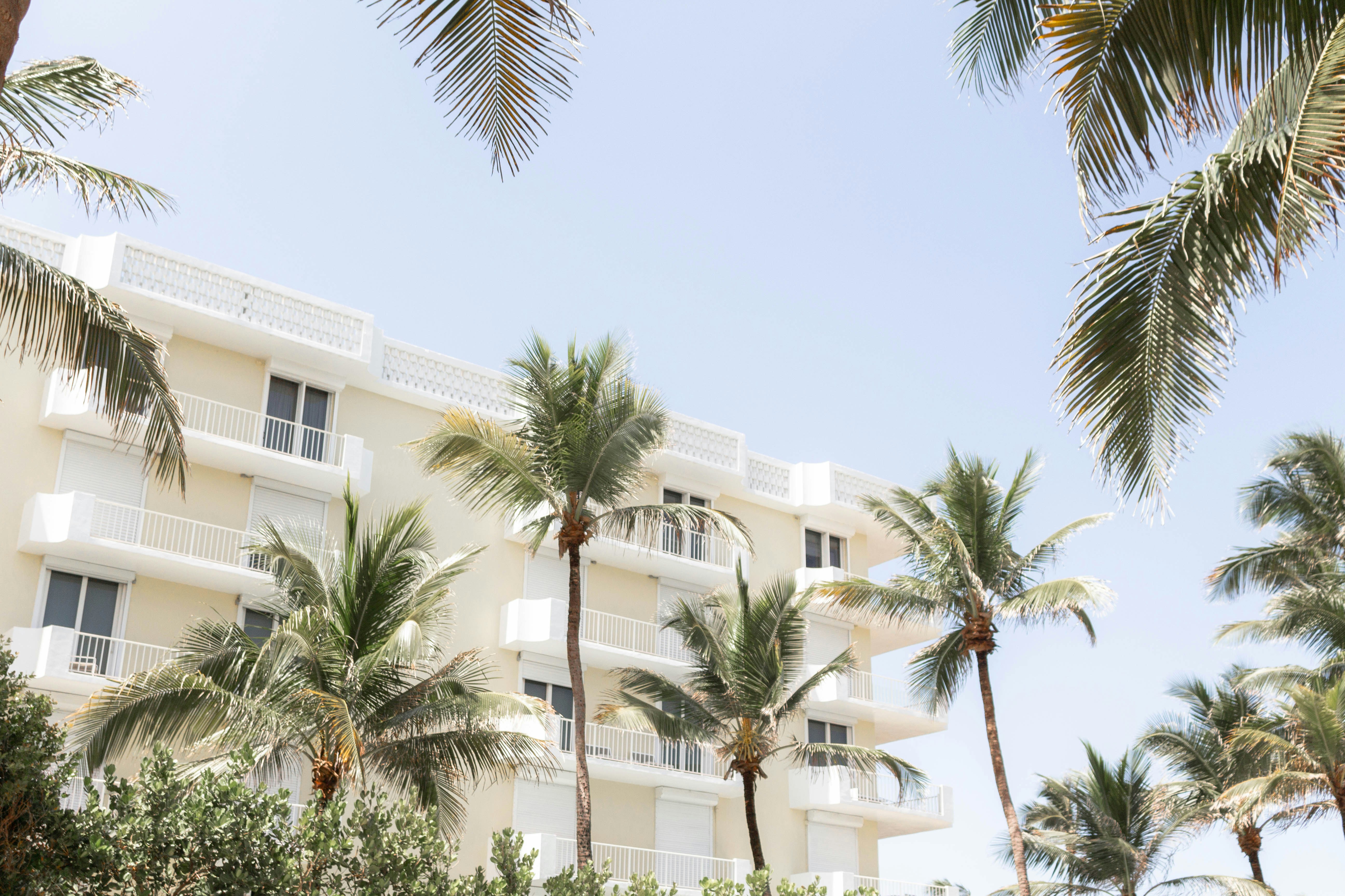 Photo by thewildflowerpress