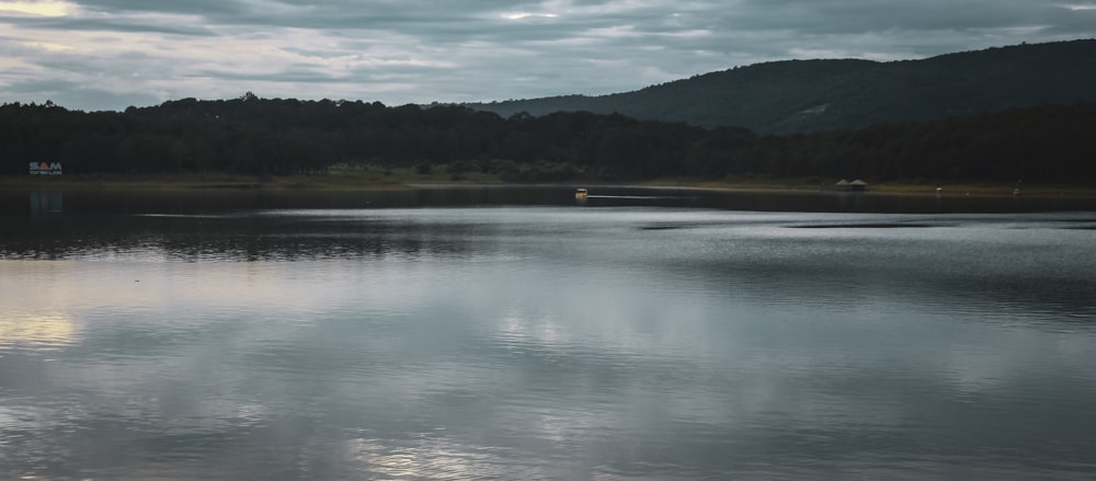 a large body of water surrounded by a forest