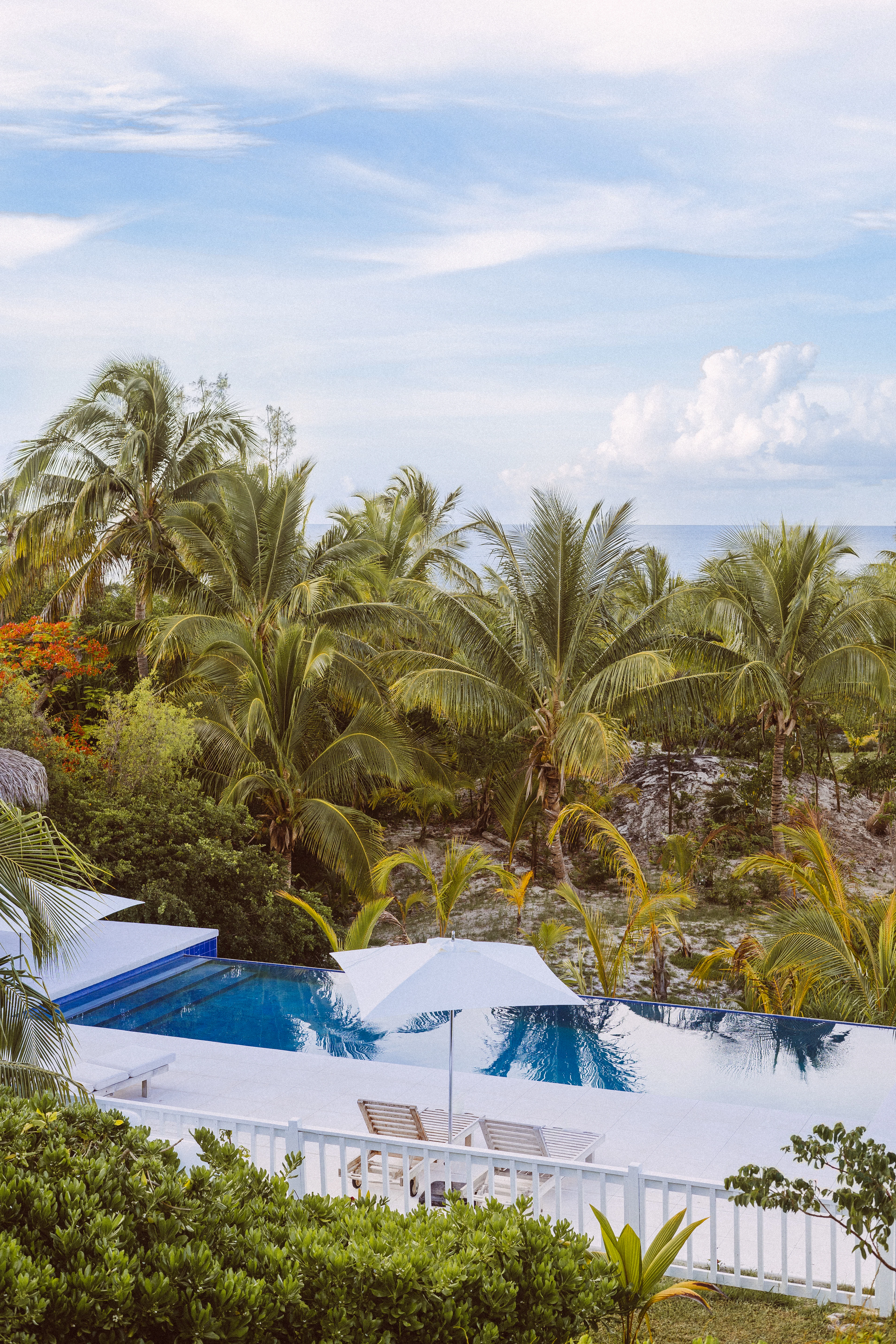 A white island villa and pool among coconut palms