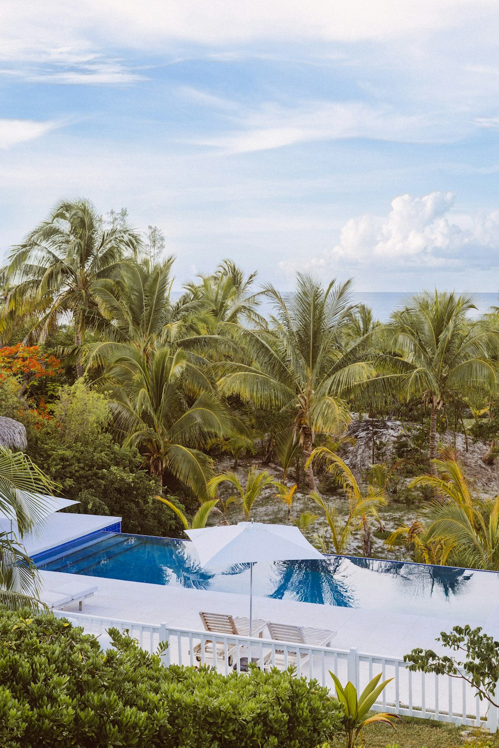 white house near coconut trees