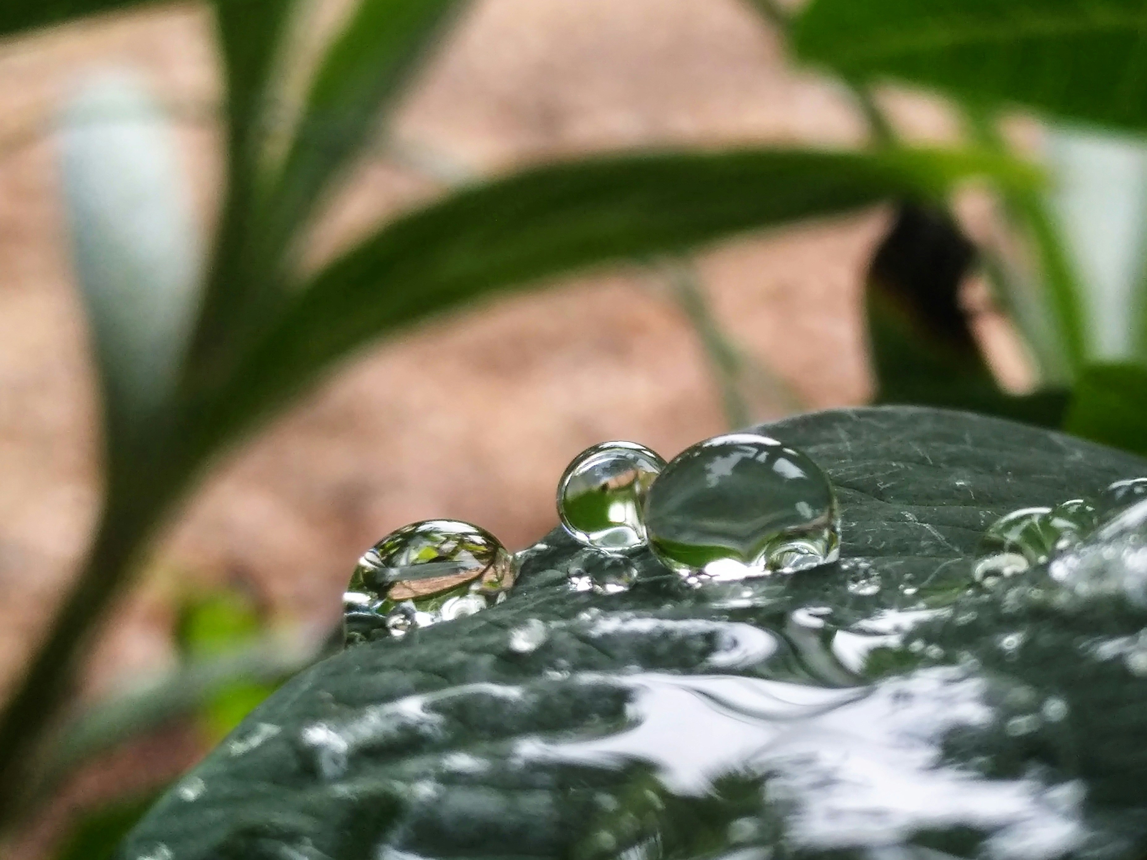 Photo by sagar_b_chauhan