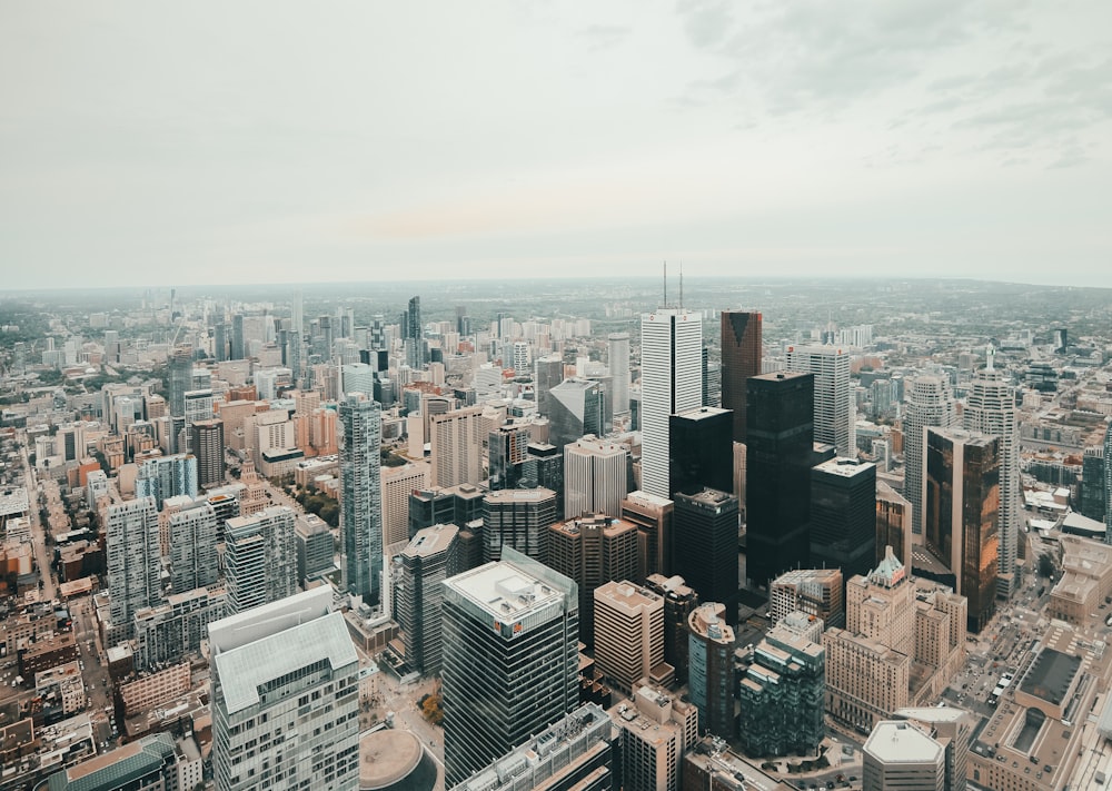 birds eye photography of high rise buildings