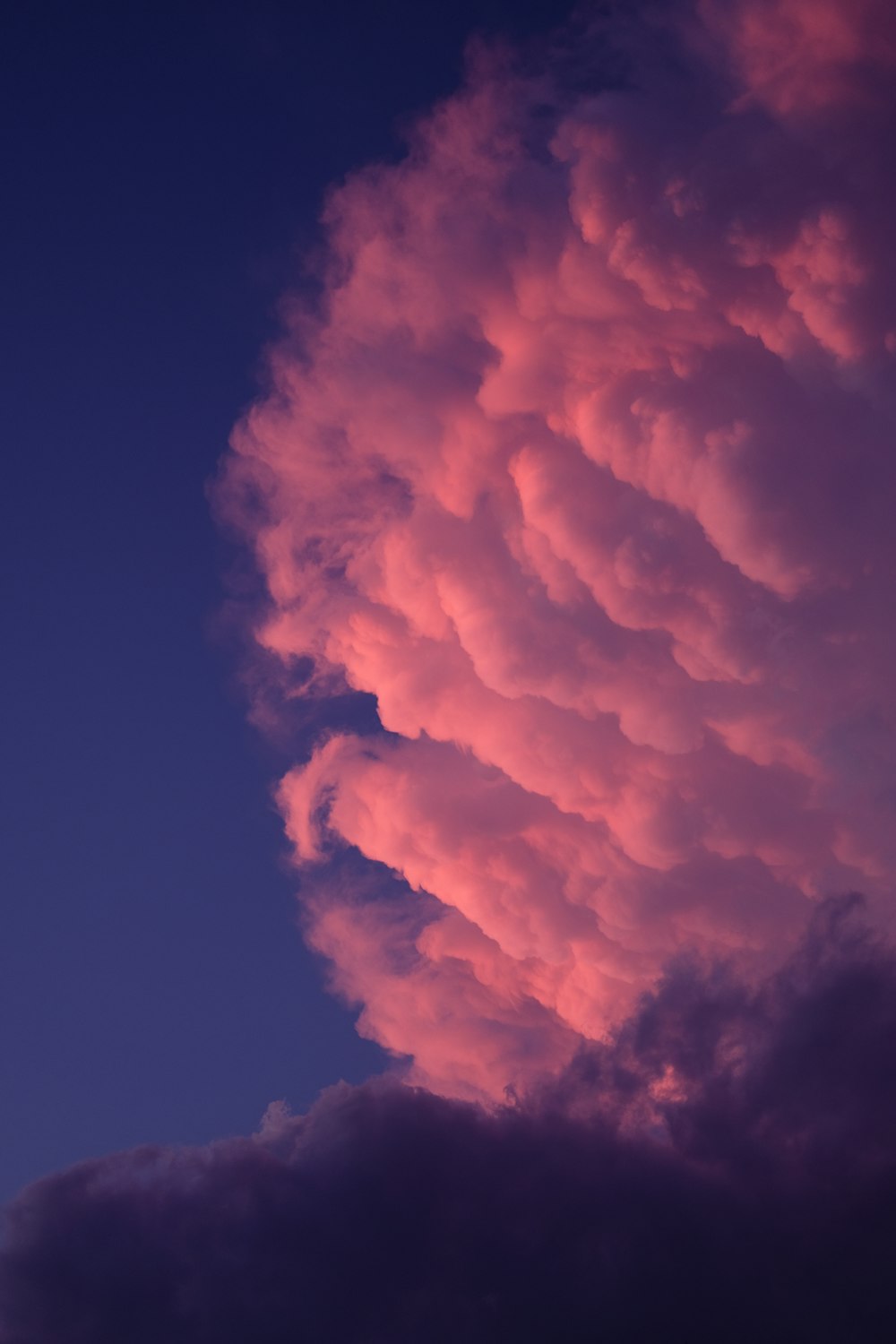 white and orange cloudy skies