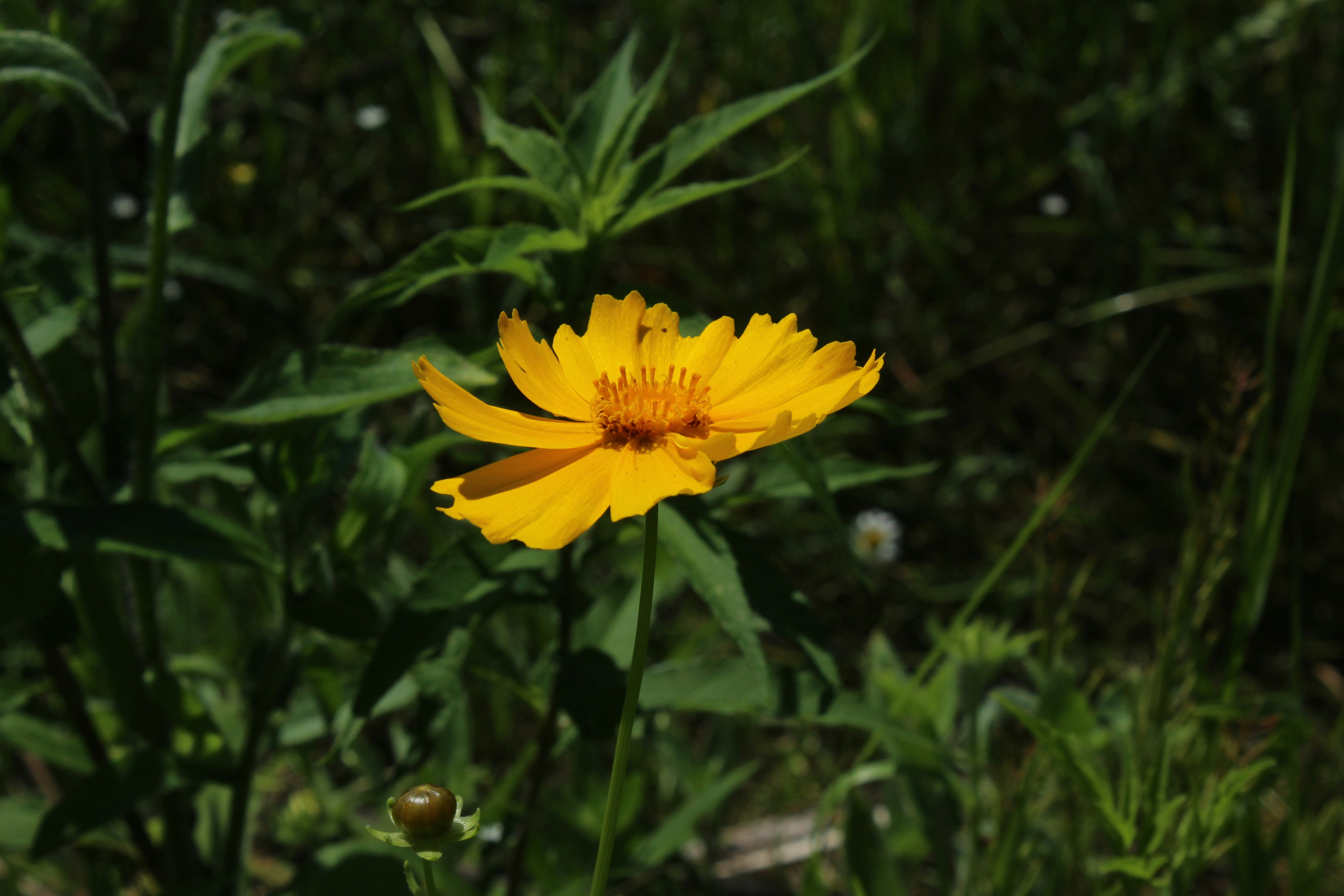 Photo by wisconsinpictures