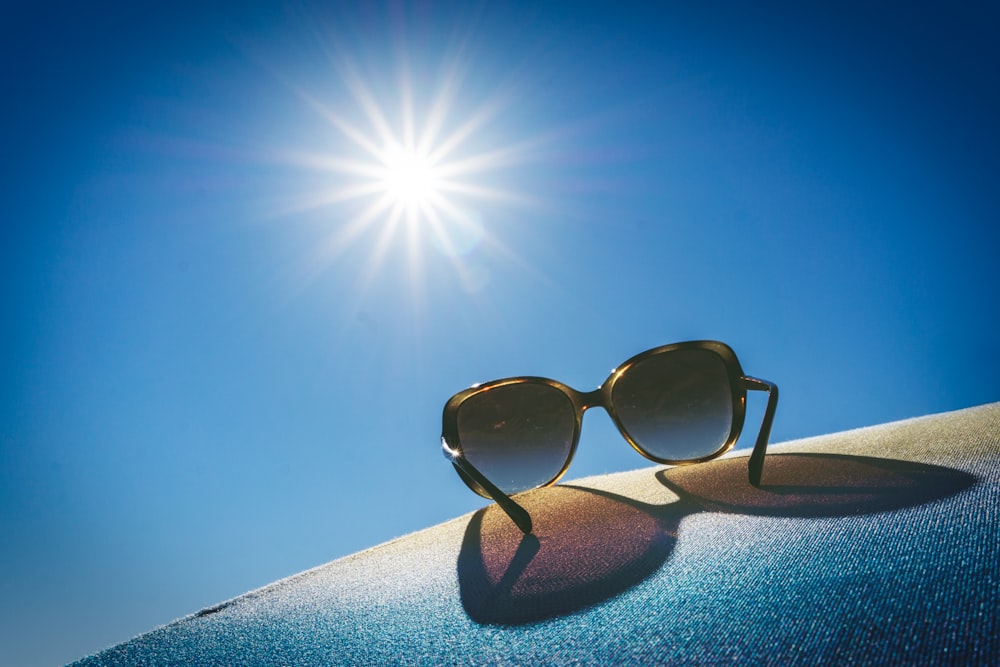 brown framed sunglasses