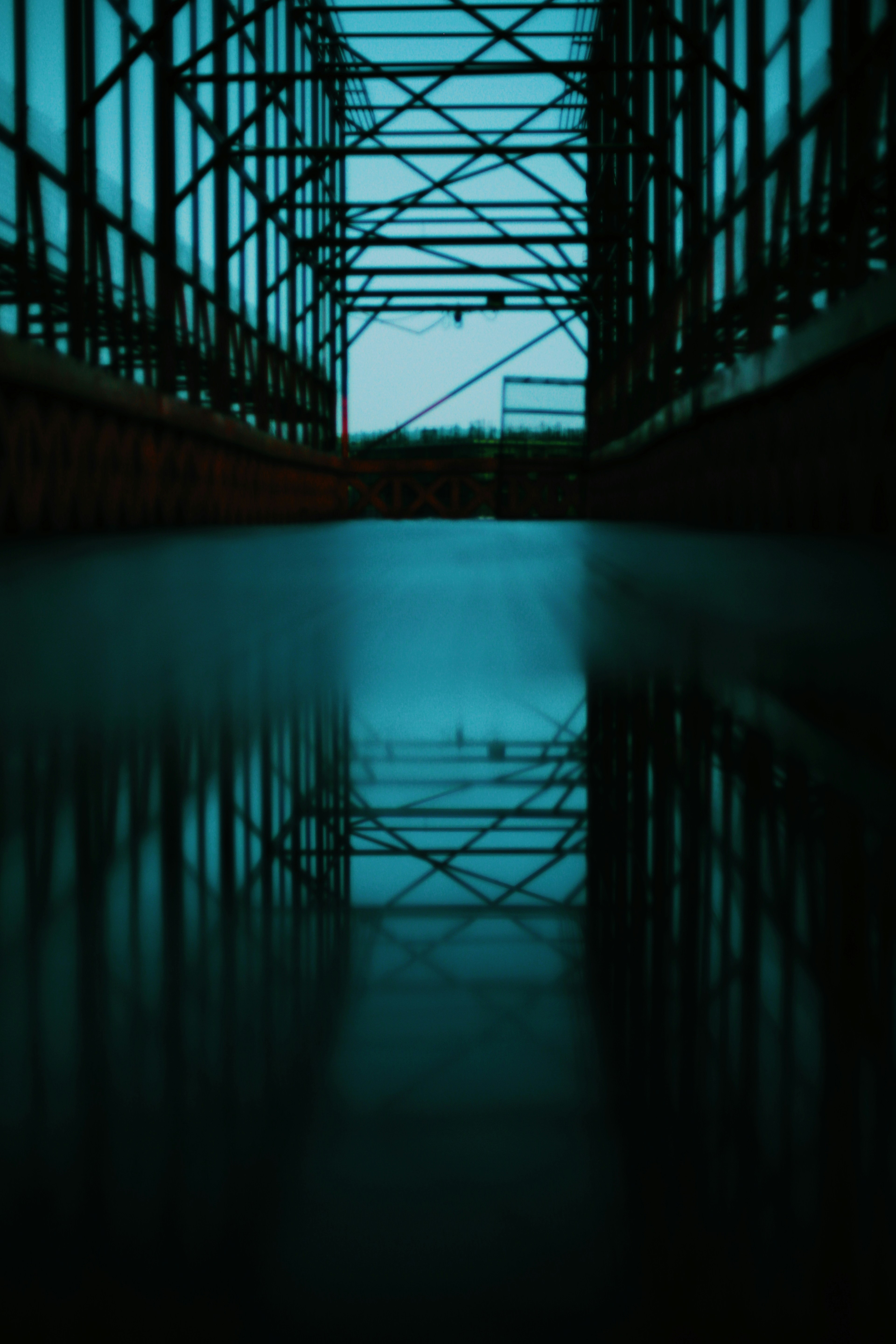 Photo by sujeethpotla