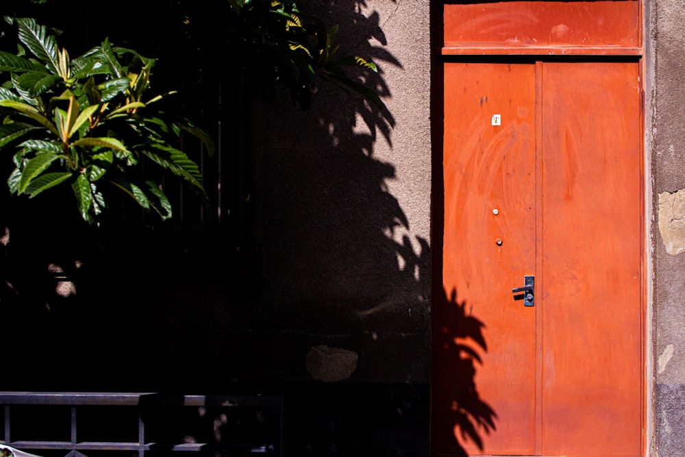 a red door with a plant next to it