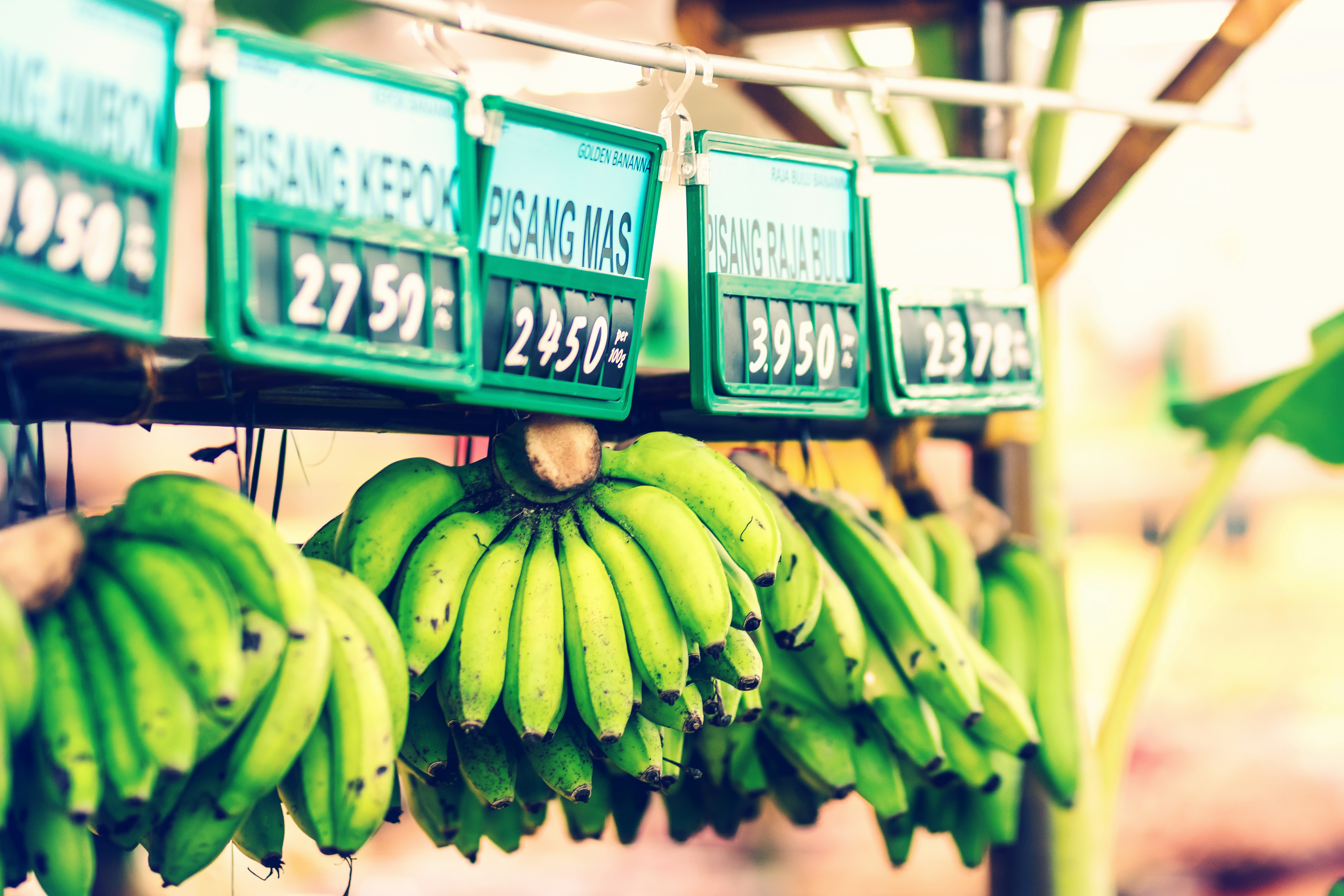 Bunch Of Green Bananas Photo Free Plant Image On Unsplash