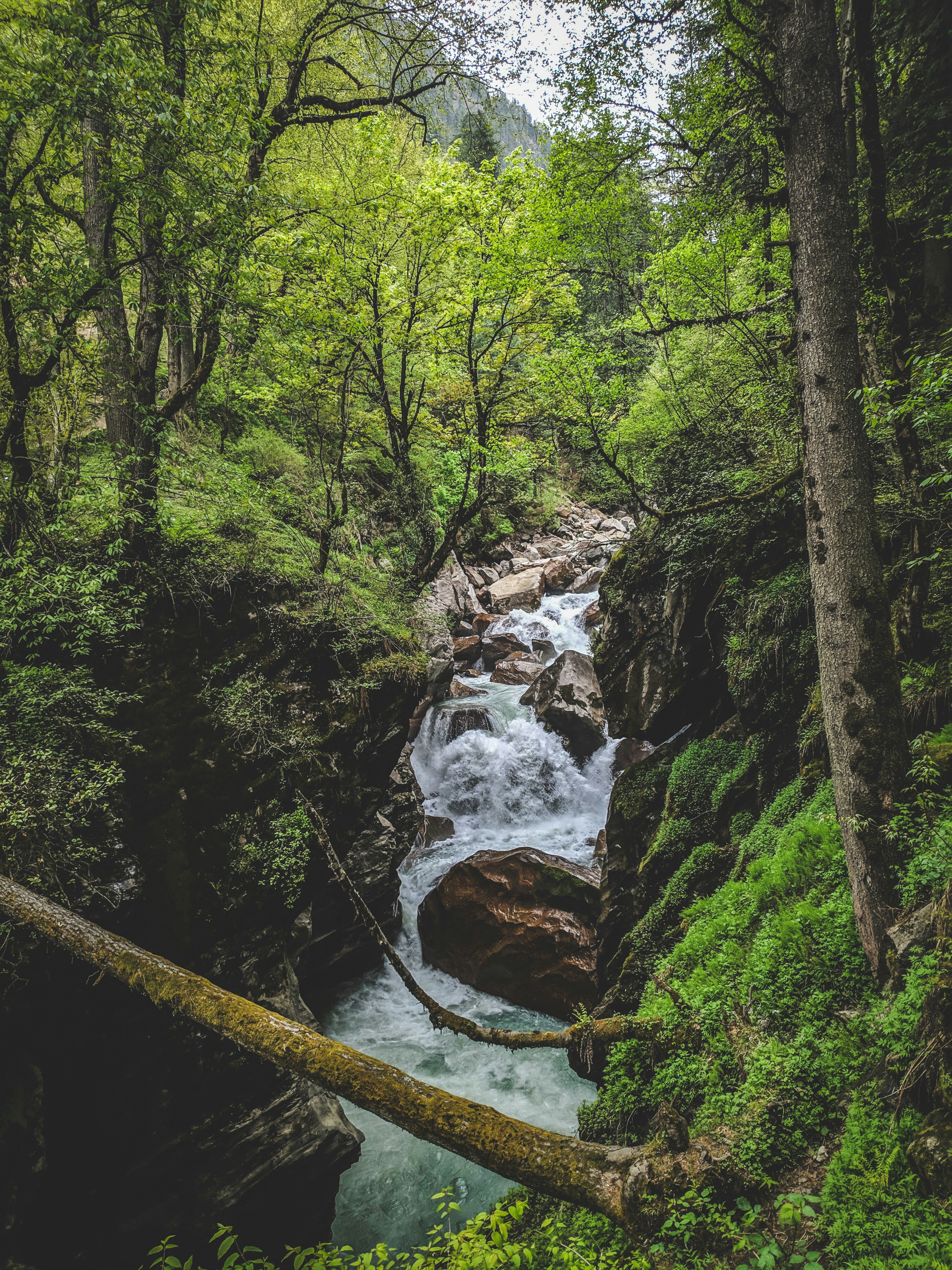 Photo by nap__photography