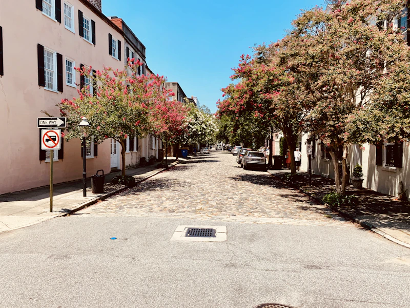Best Pet-Friendly Hotels and Stays in Charleston for Travelers With Furry Companions