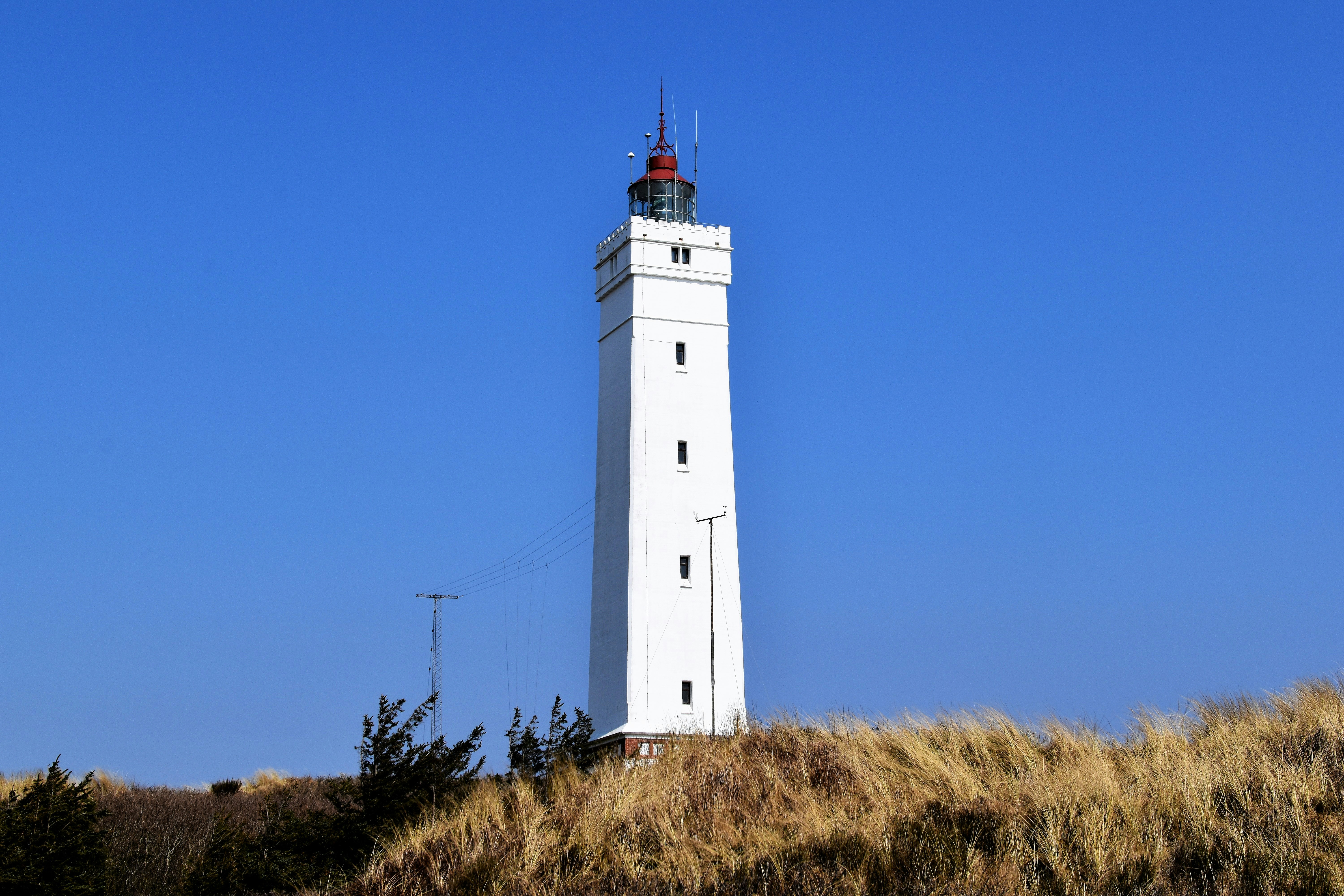 Photo by waldemarbrandt67w