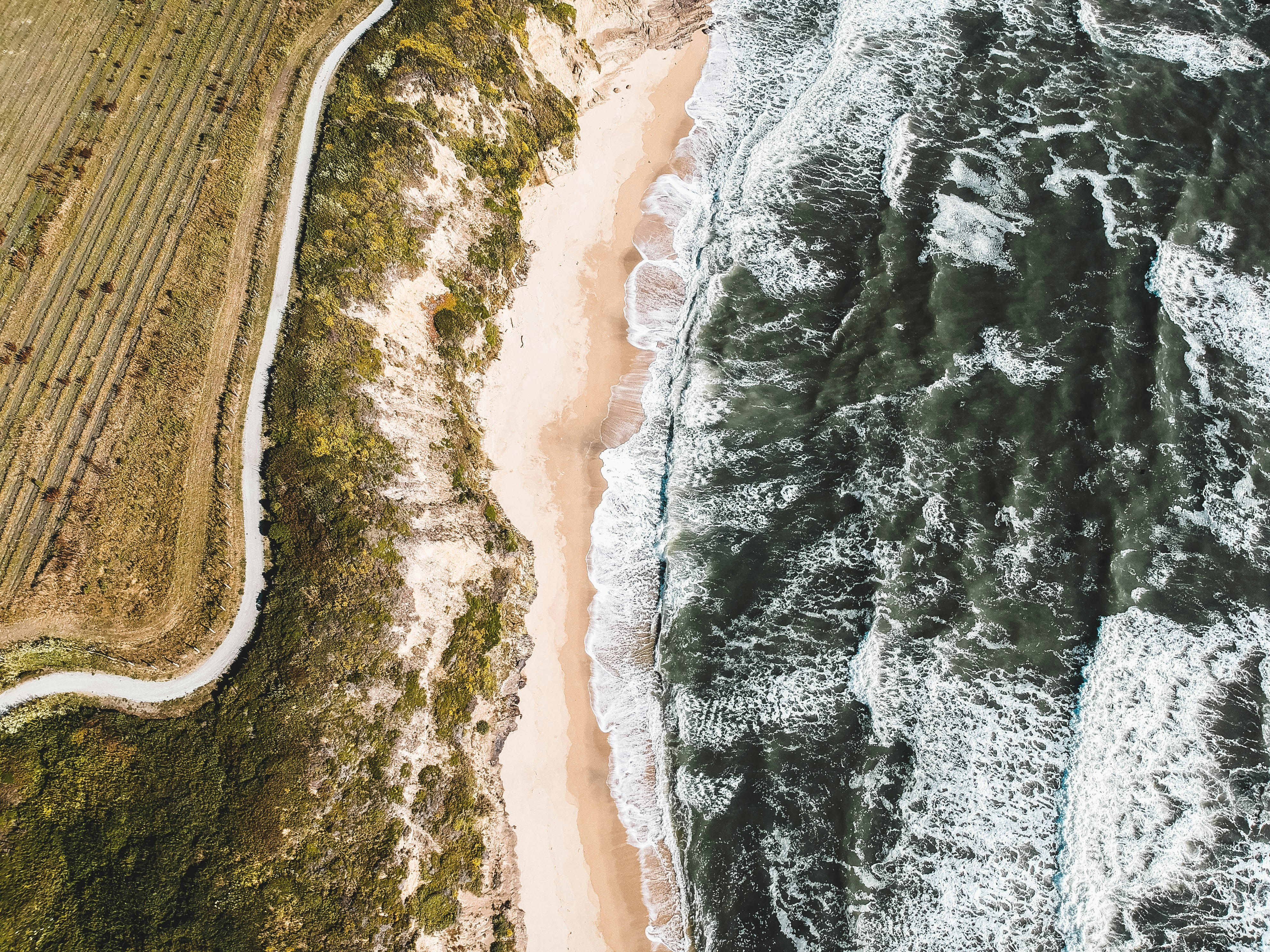 Photo by timowielink