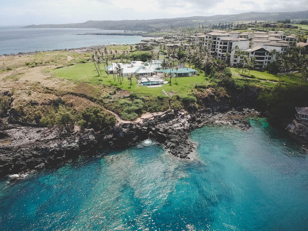 aerial photography of buildings near body of water during daytime