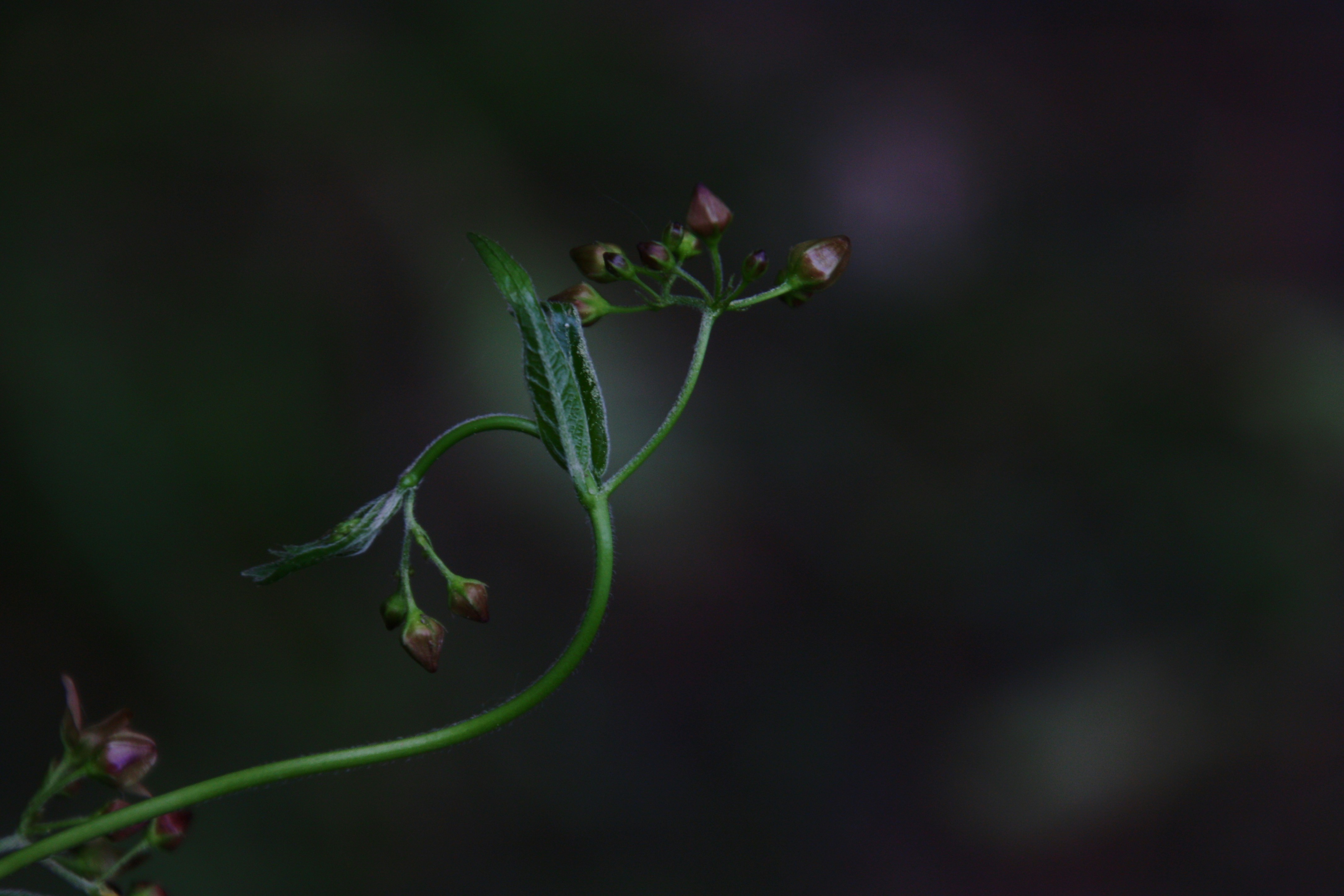 Photo by anthonyaird