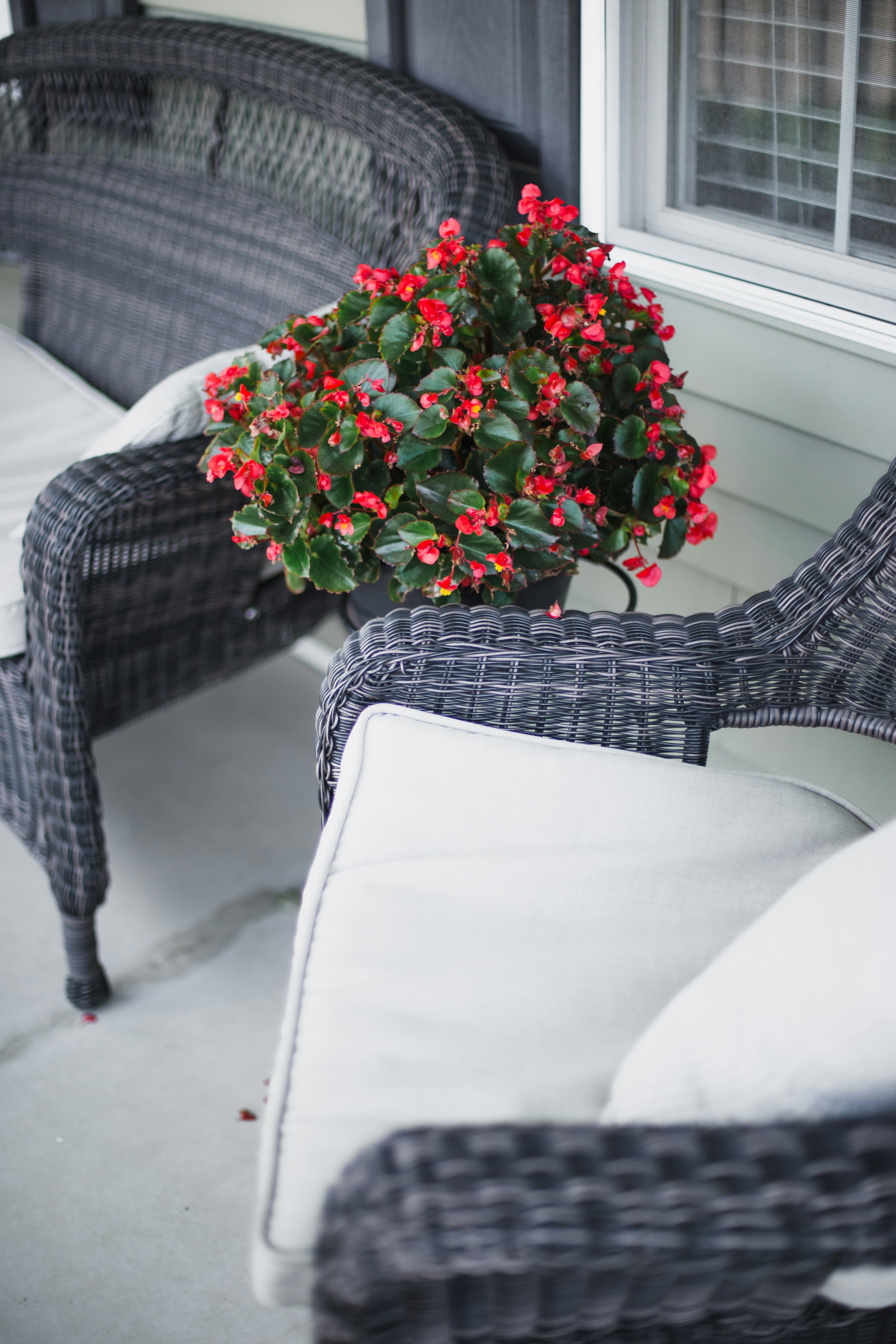 Photo by leilaniangel