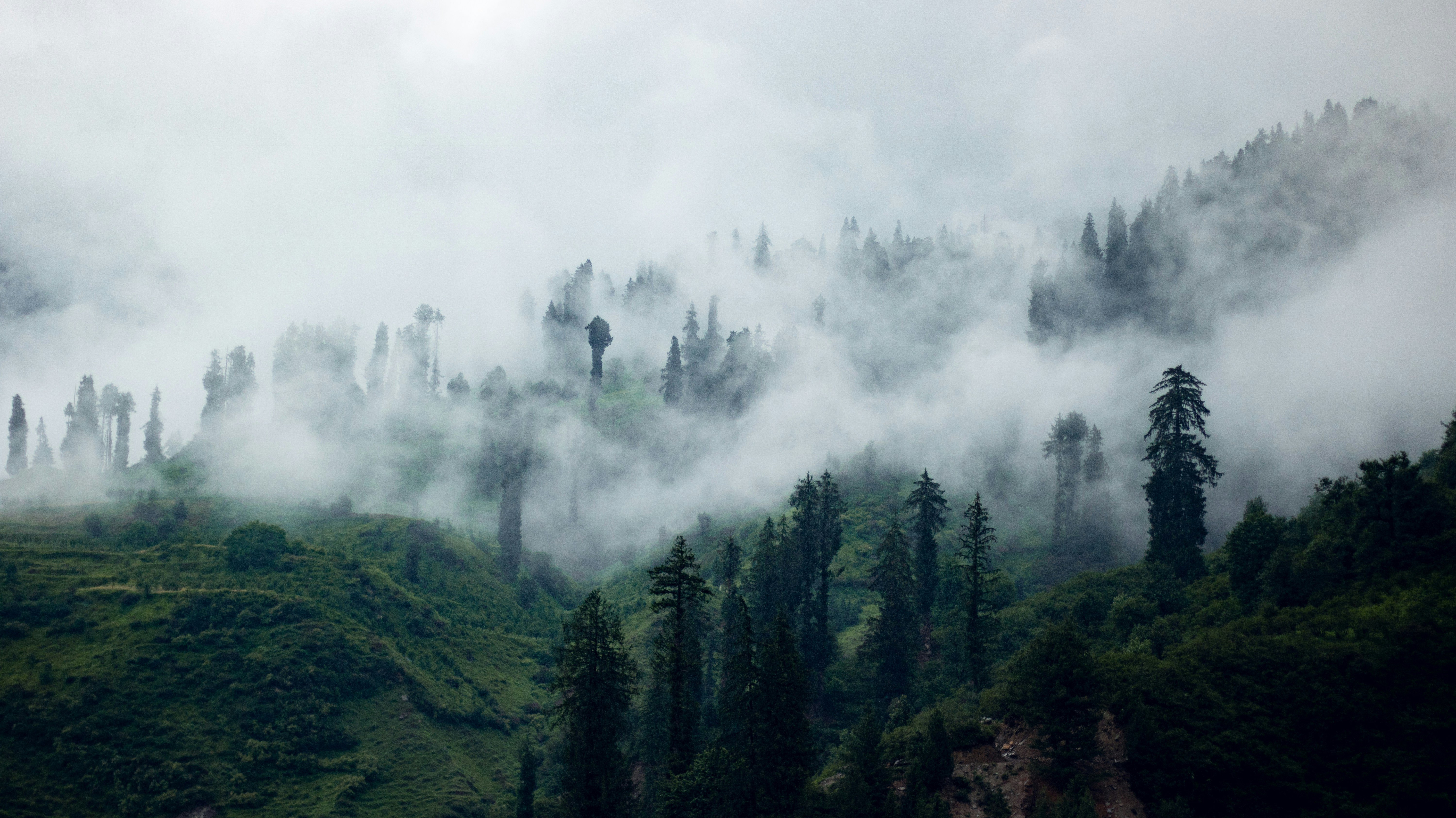 Photo by lanirudhreddy