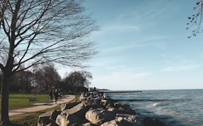 A peaceful lake surrounded by walking paths and cyclists enjoying the morning.