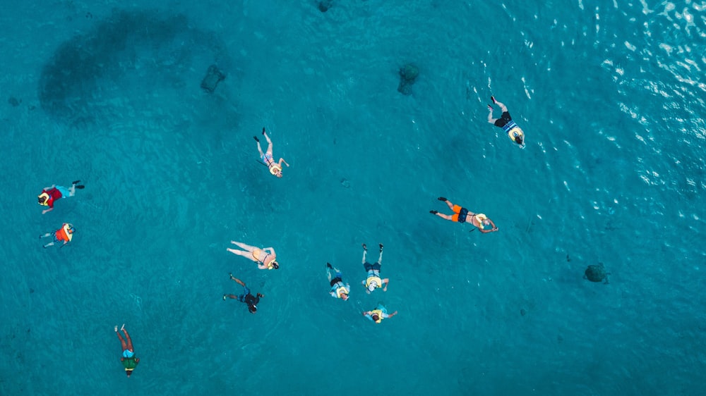 personnes dans l’eau