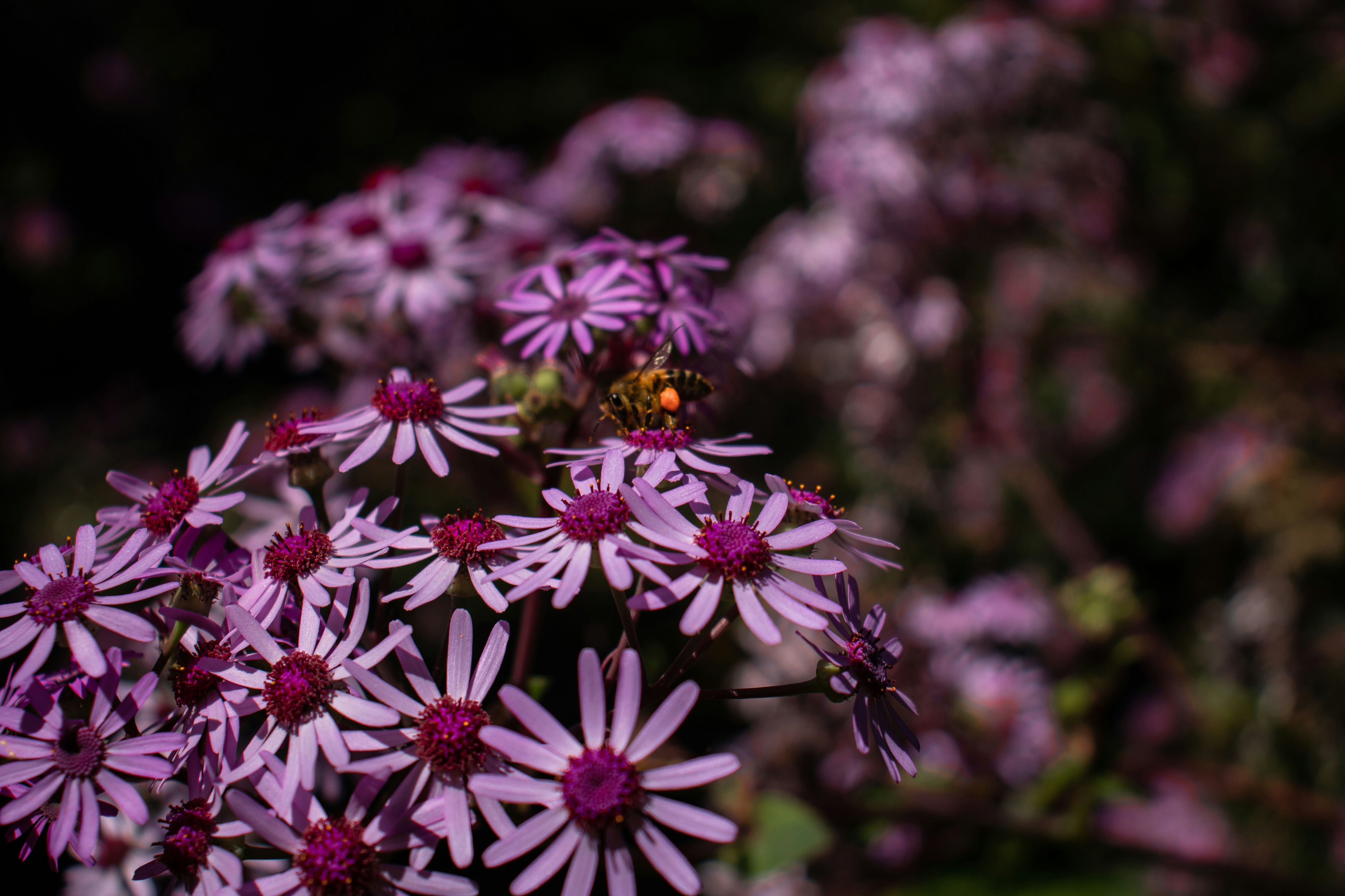 Photo by wanderdomi