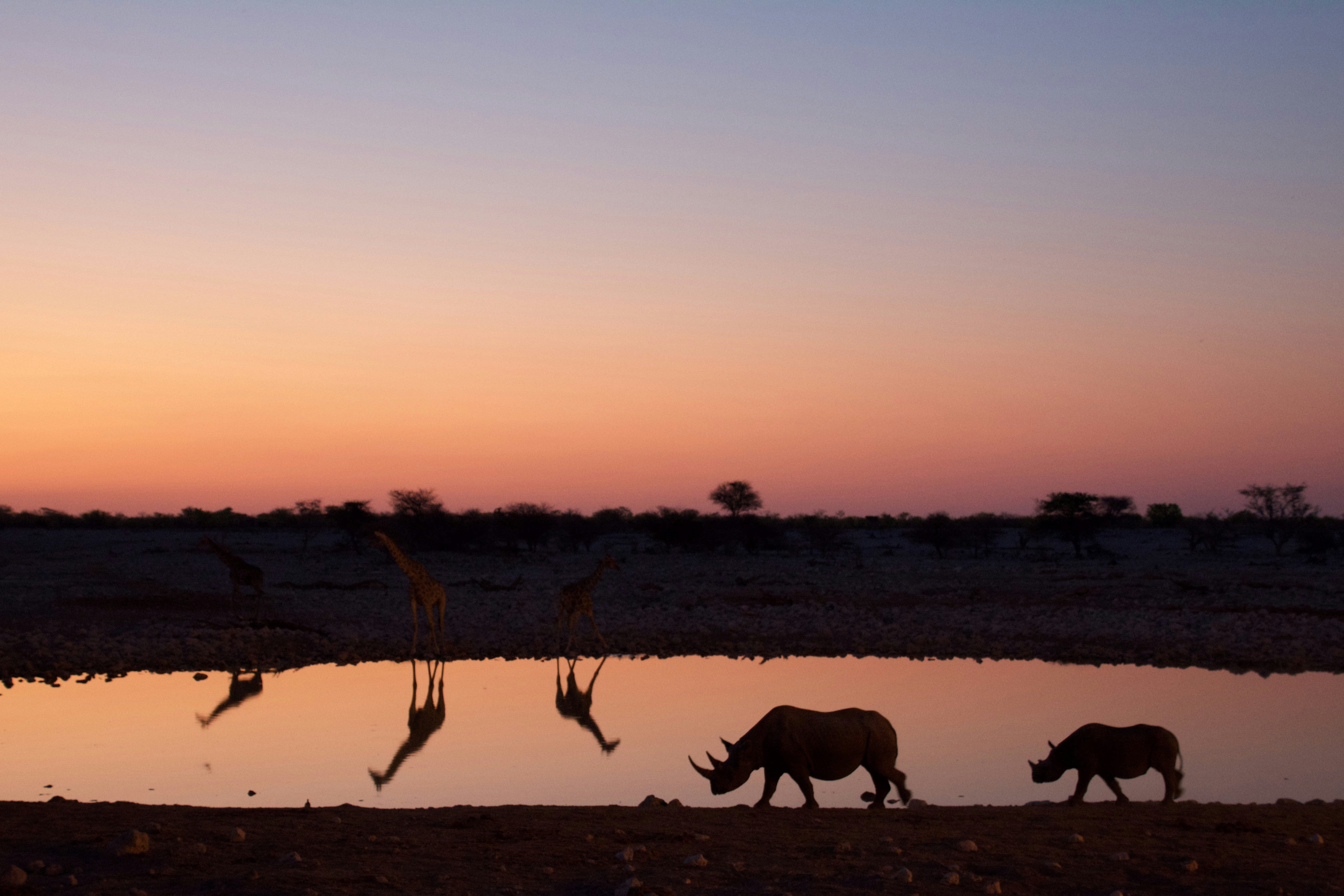 Photo by fabianarizzi