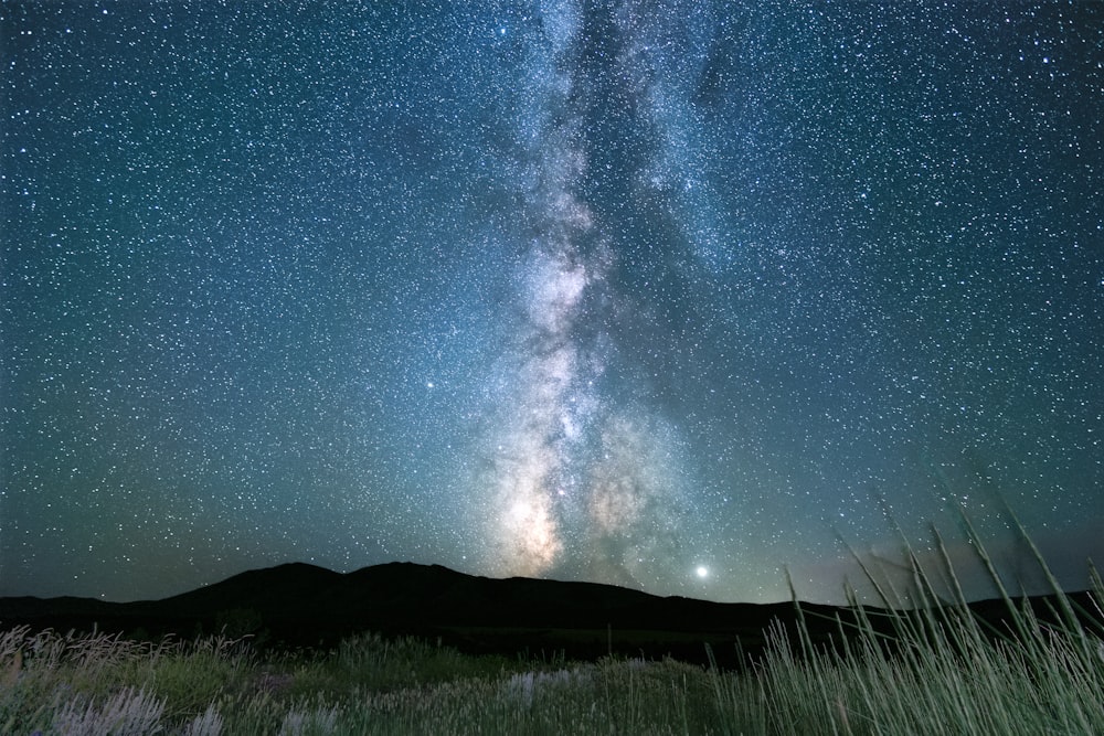 starry sky over mountains and grass