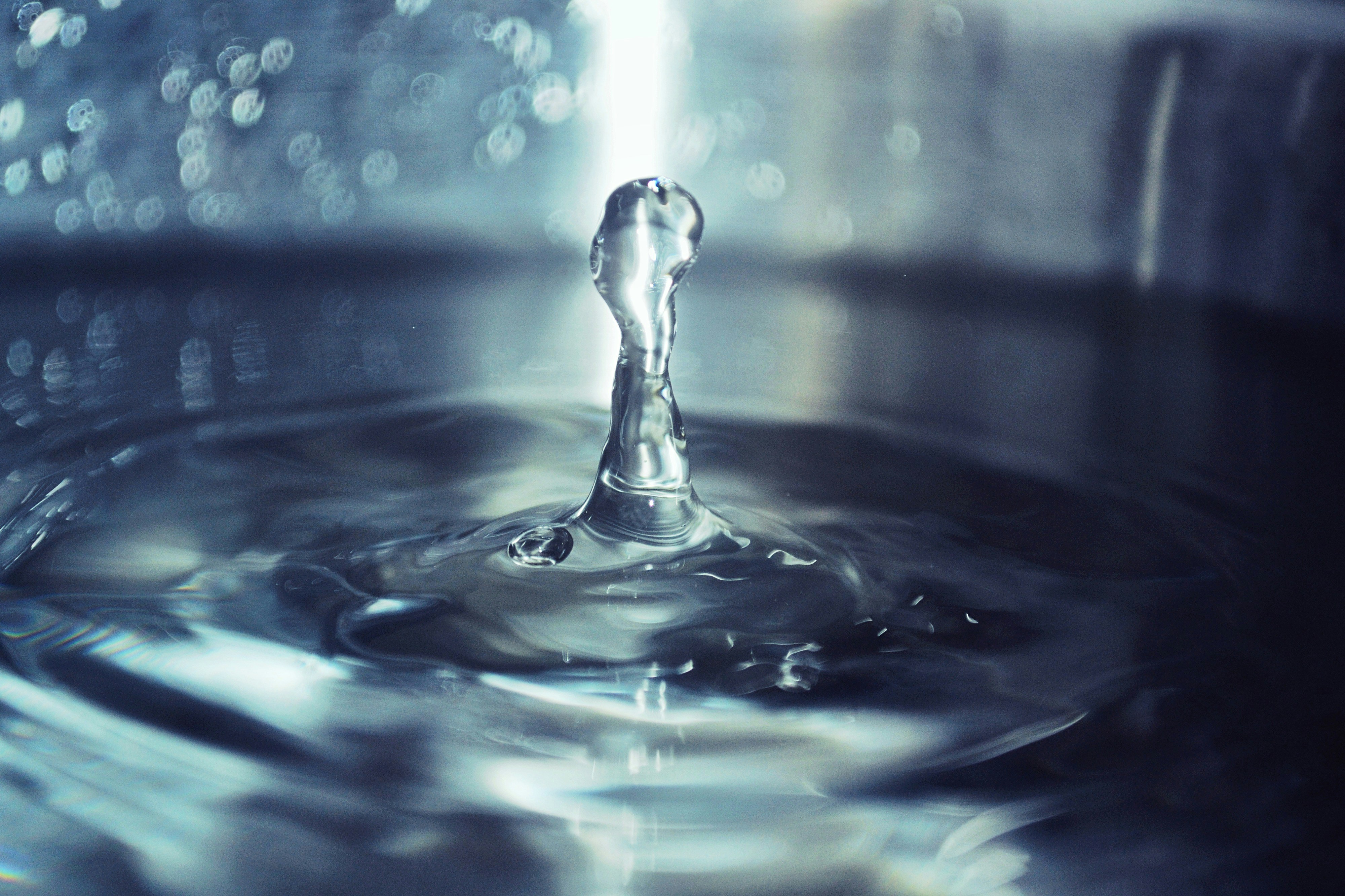 Photo by michealcopley03