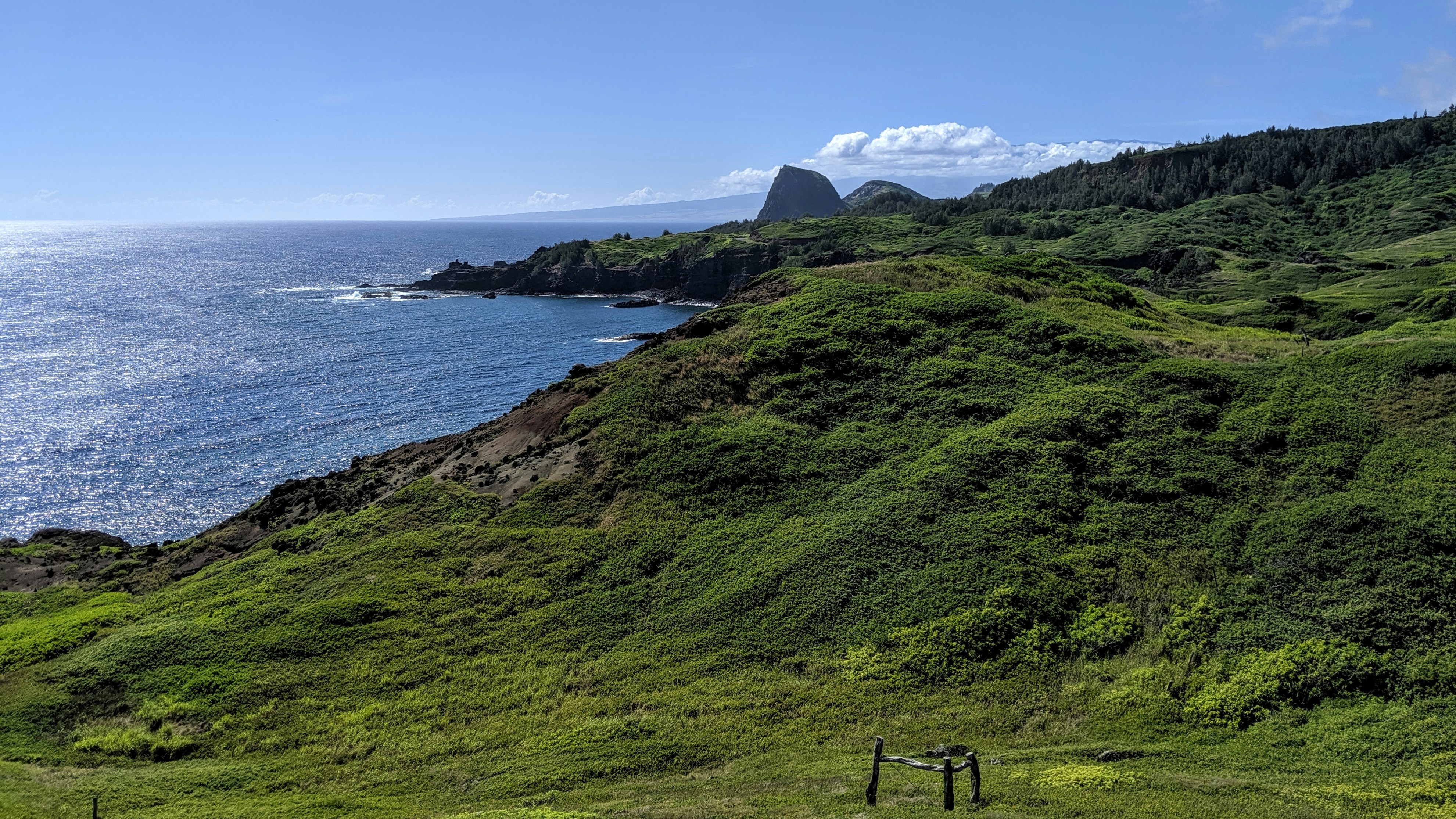 green grass field near body of water