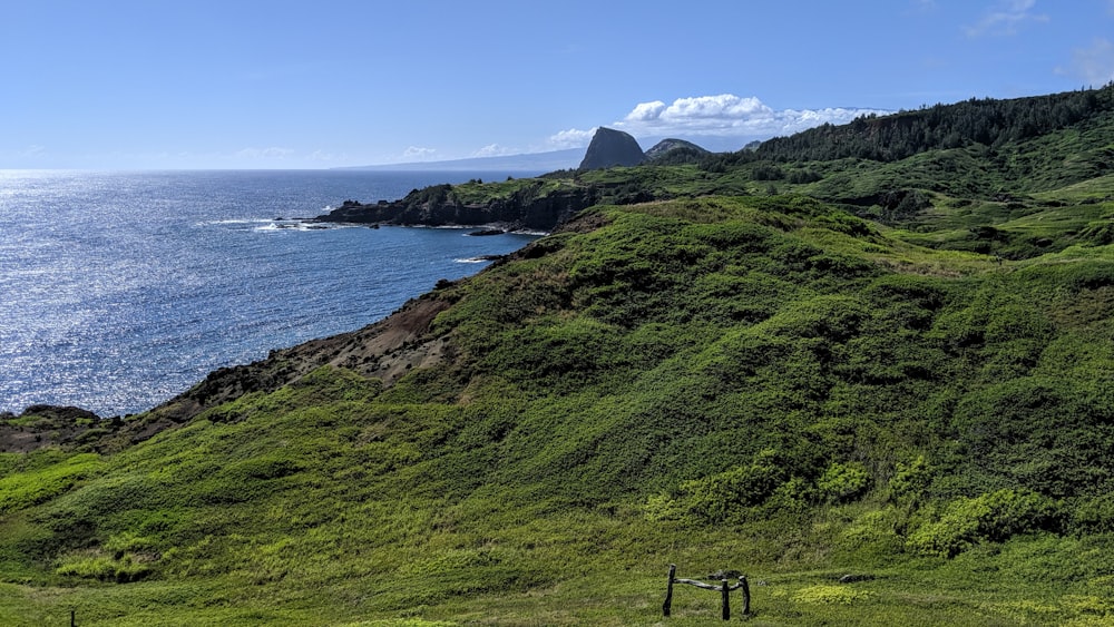 green grass field near body of water