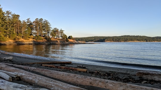 photo of Galiano Island Shore near Westwood Lake Trail