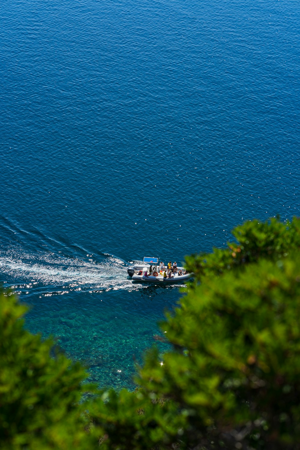 people riding on boat