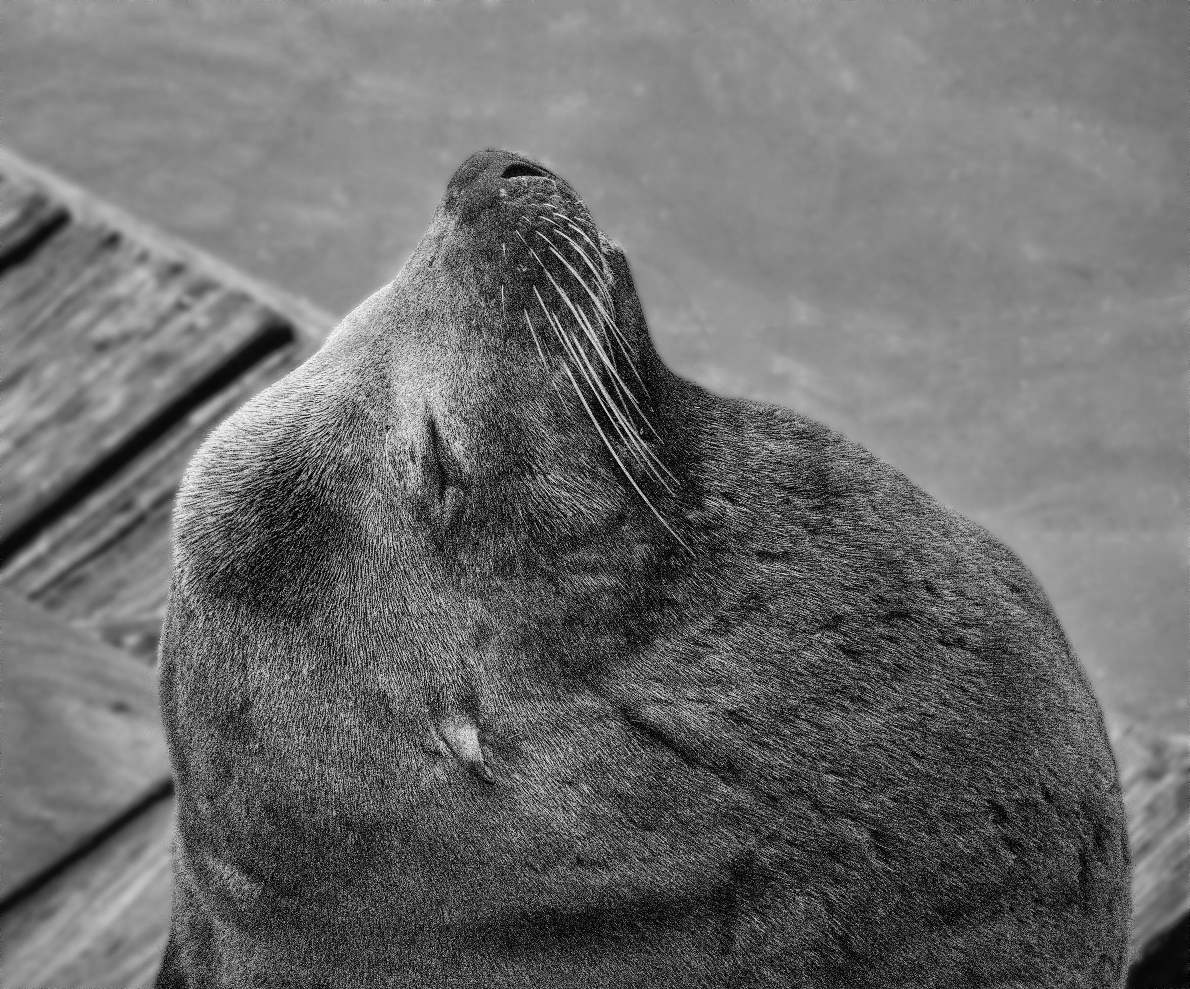 The Joy of Watching Their Decision-Making (image credits: unsplash)