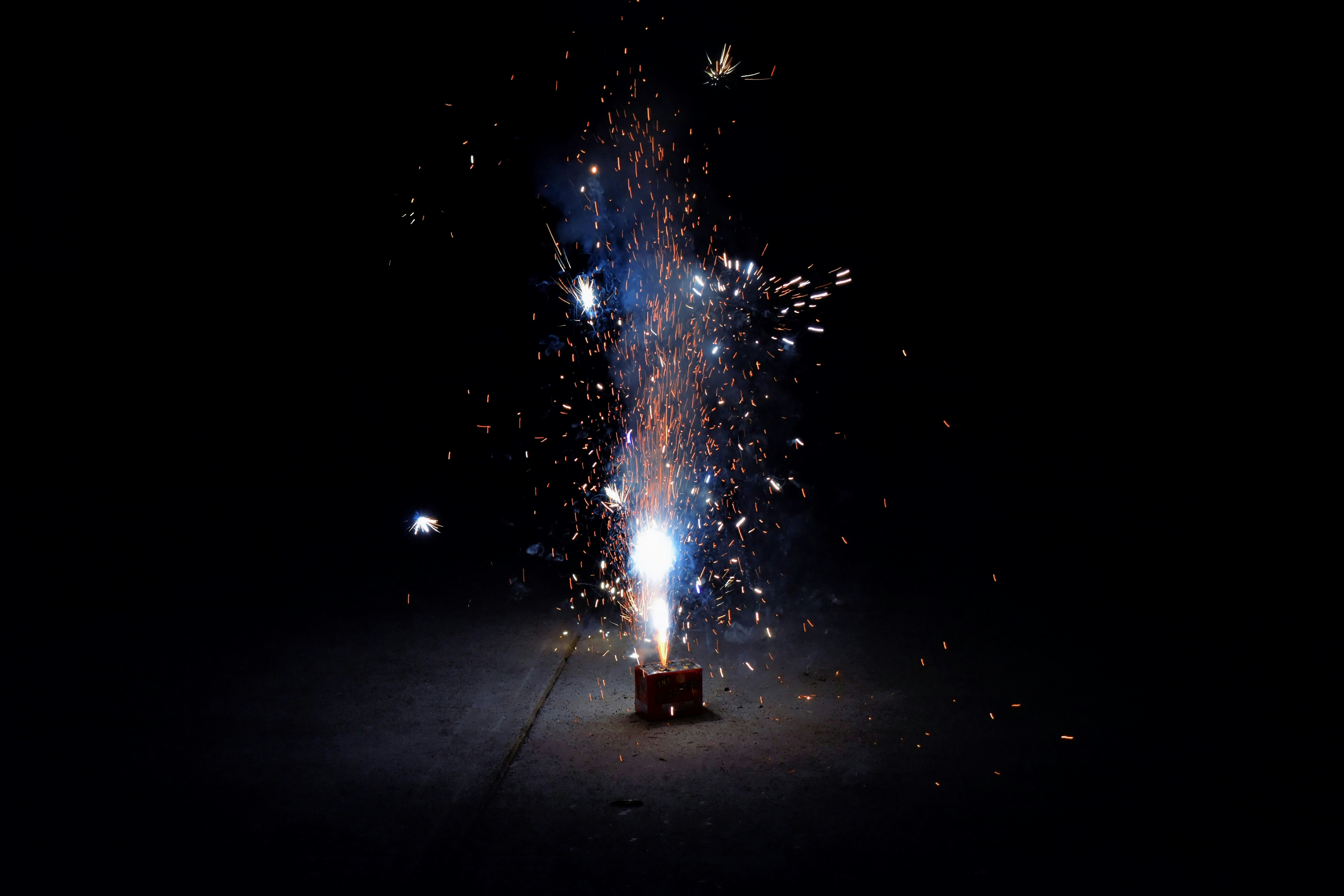 Min første Nyttårsaften med hund.