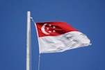 white and red flag