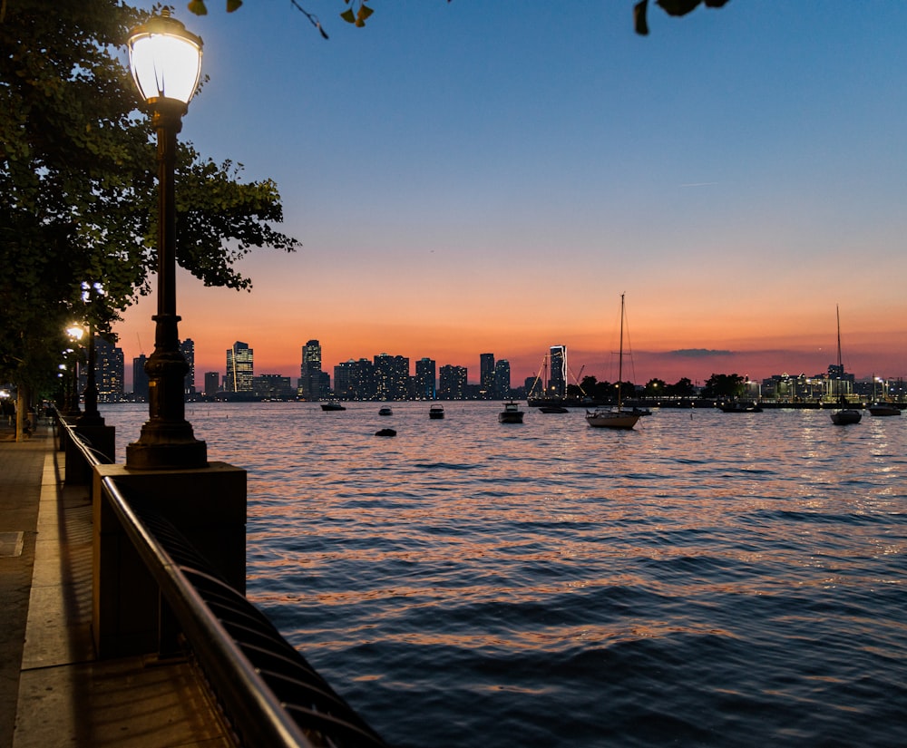 body of water near high-rise buildings