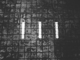 Turnitin: The Gold Standard for Academic Integrity