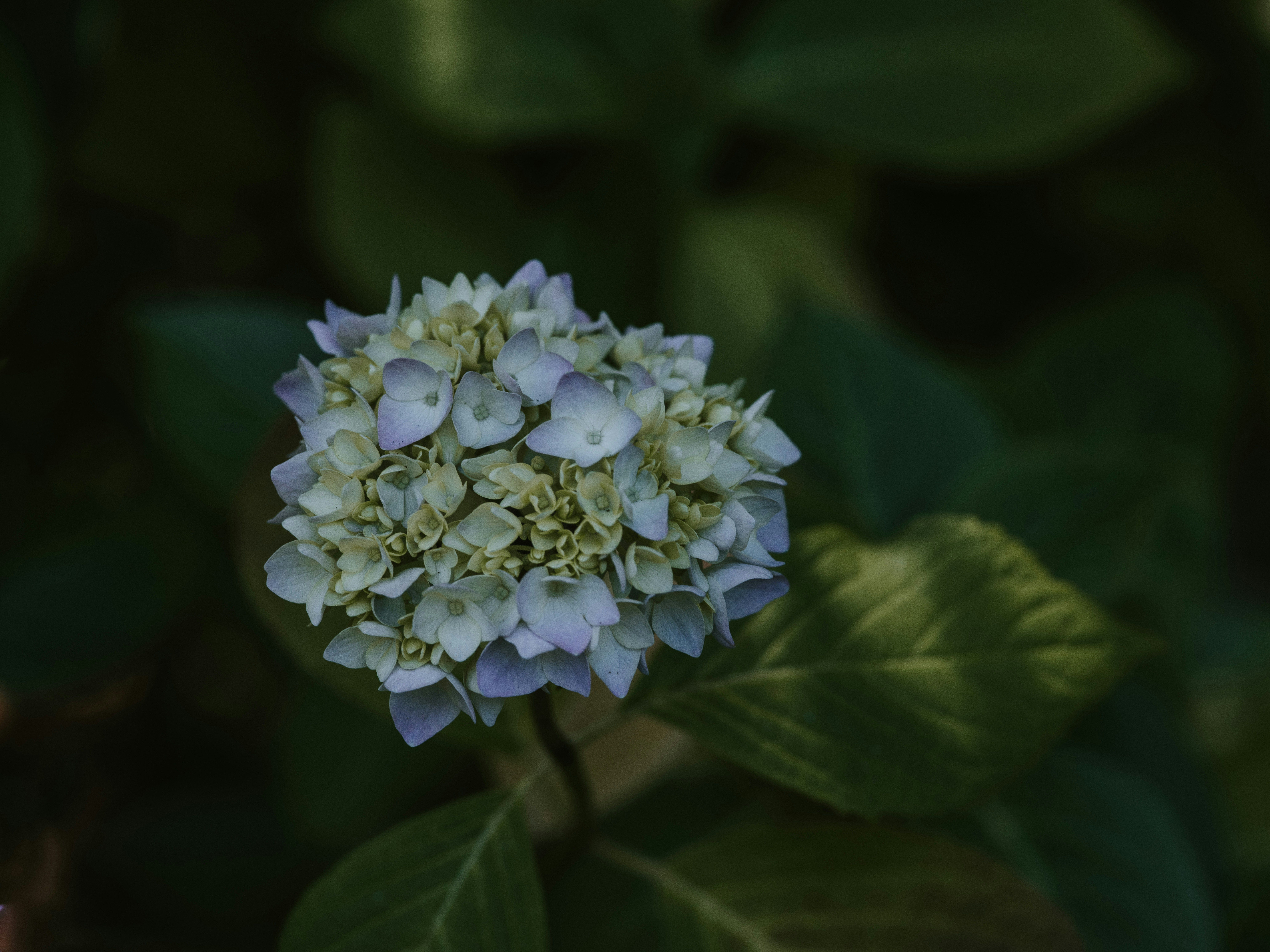 Photo by anniespratt