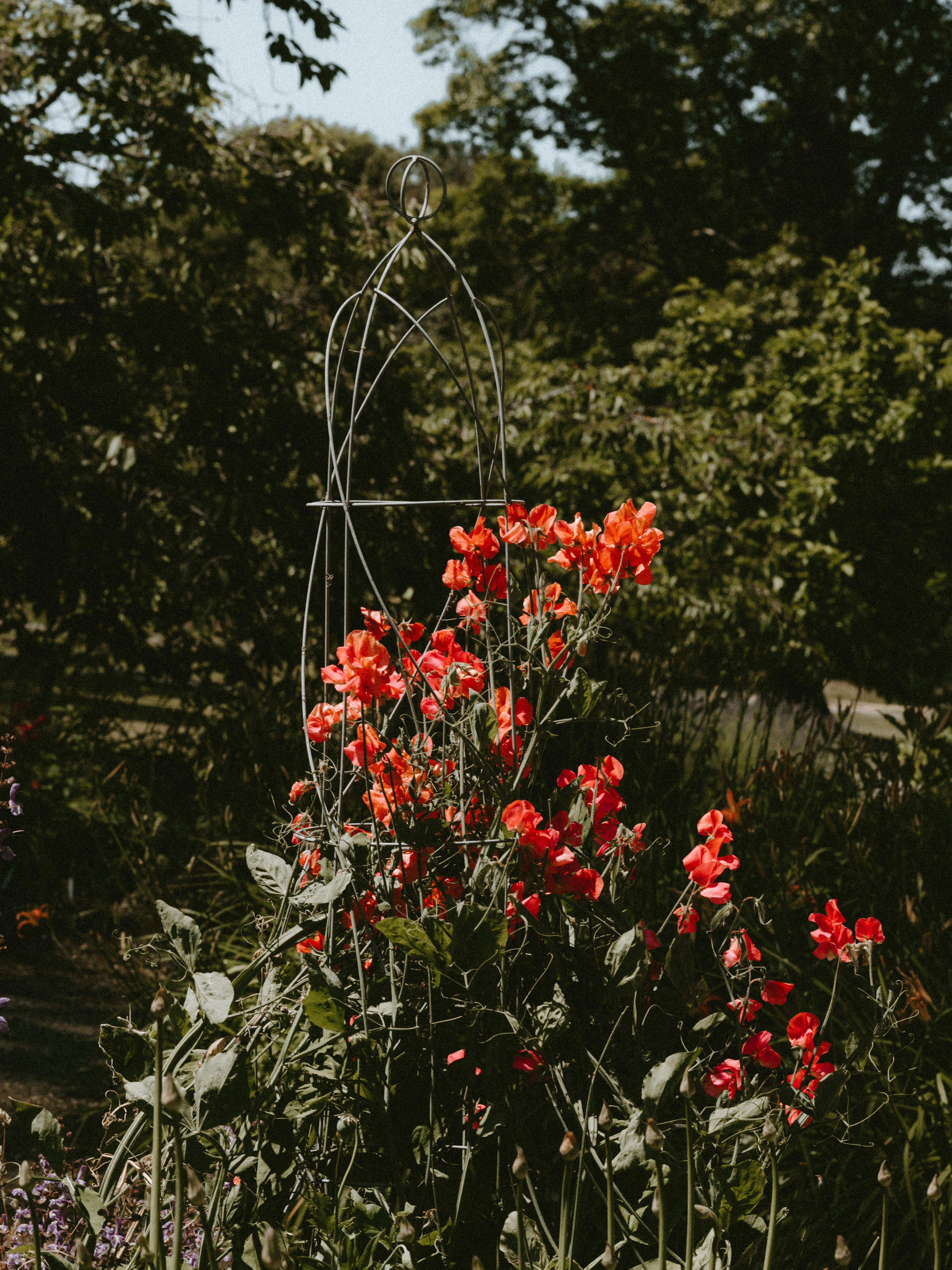 Photo by anniespratt